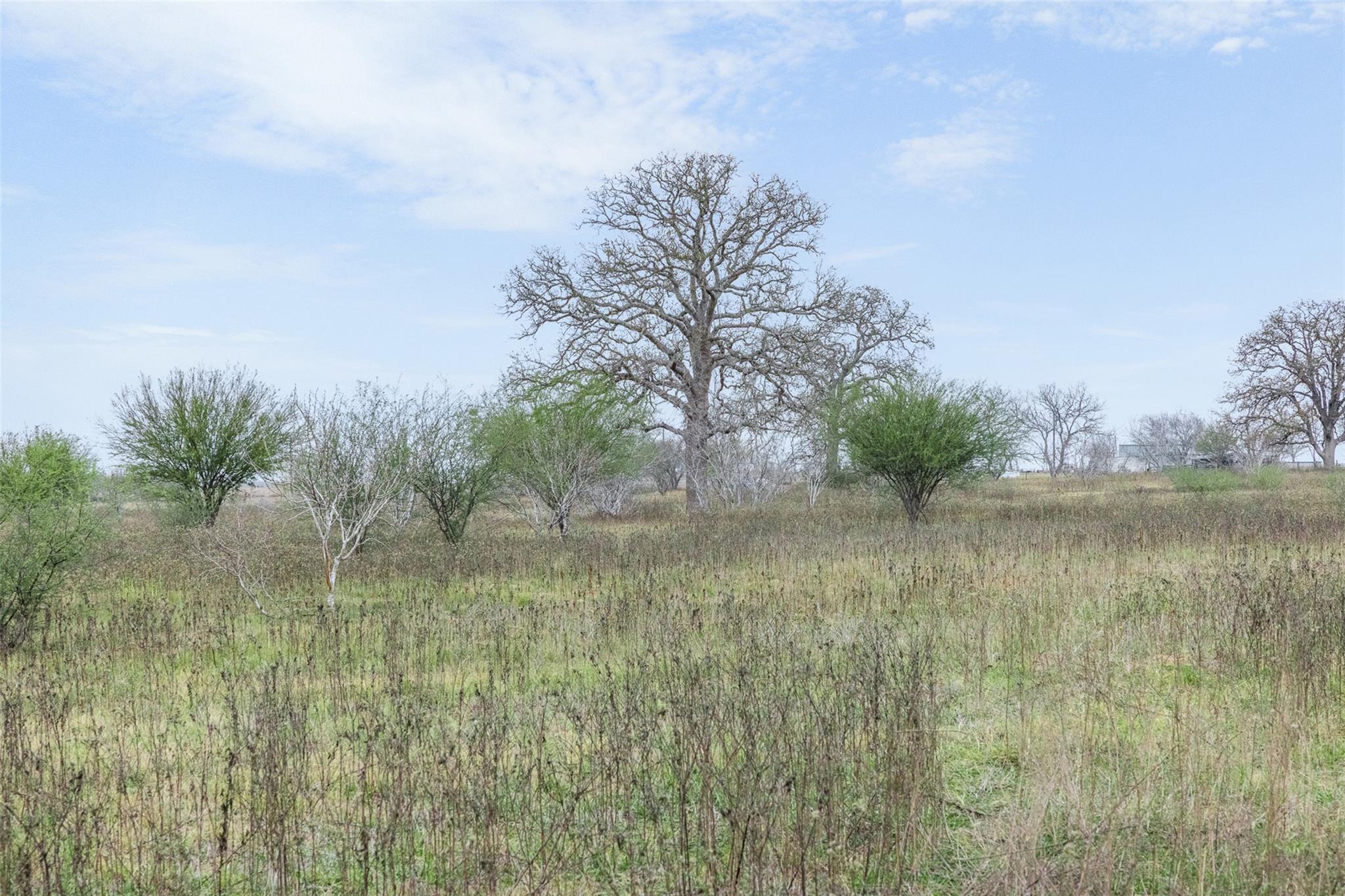 4025 County Road 284, Harwood, TX 78632