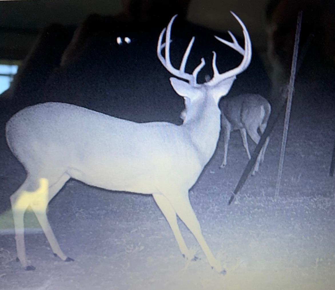 4025 County Road 284, Harwood, TX 78632