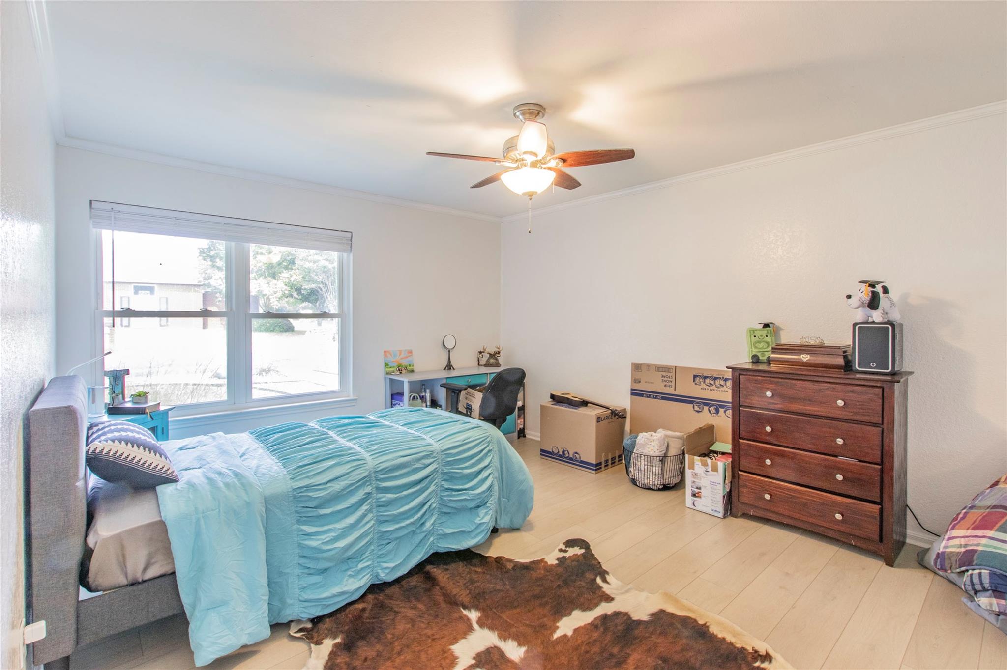 2400 Braemar Cv, Austin, TX 78747