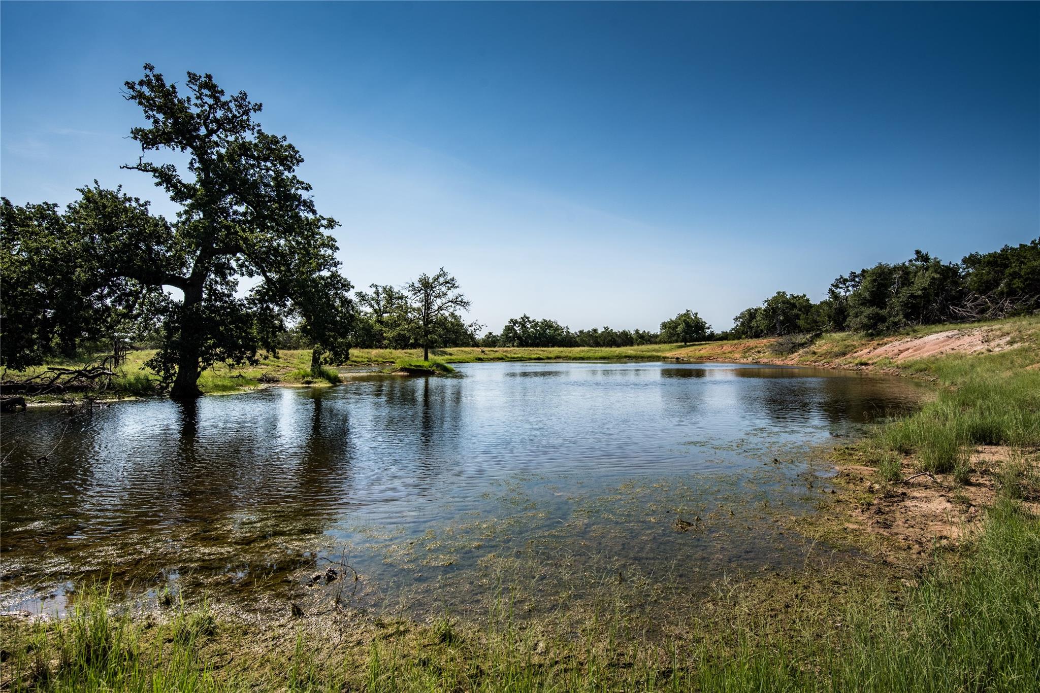 12350 N Hwy 16 Highway, Fredericksburg, TX 78624