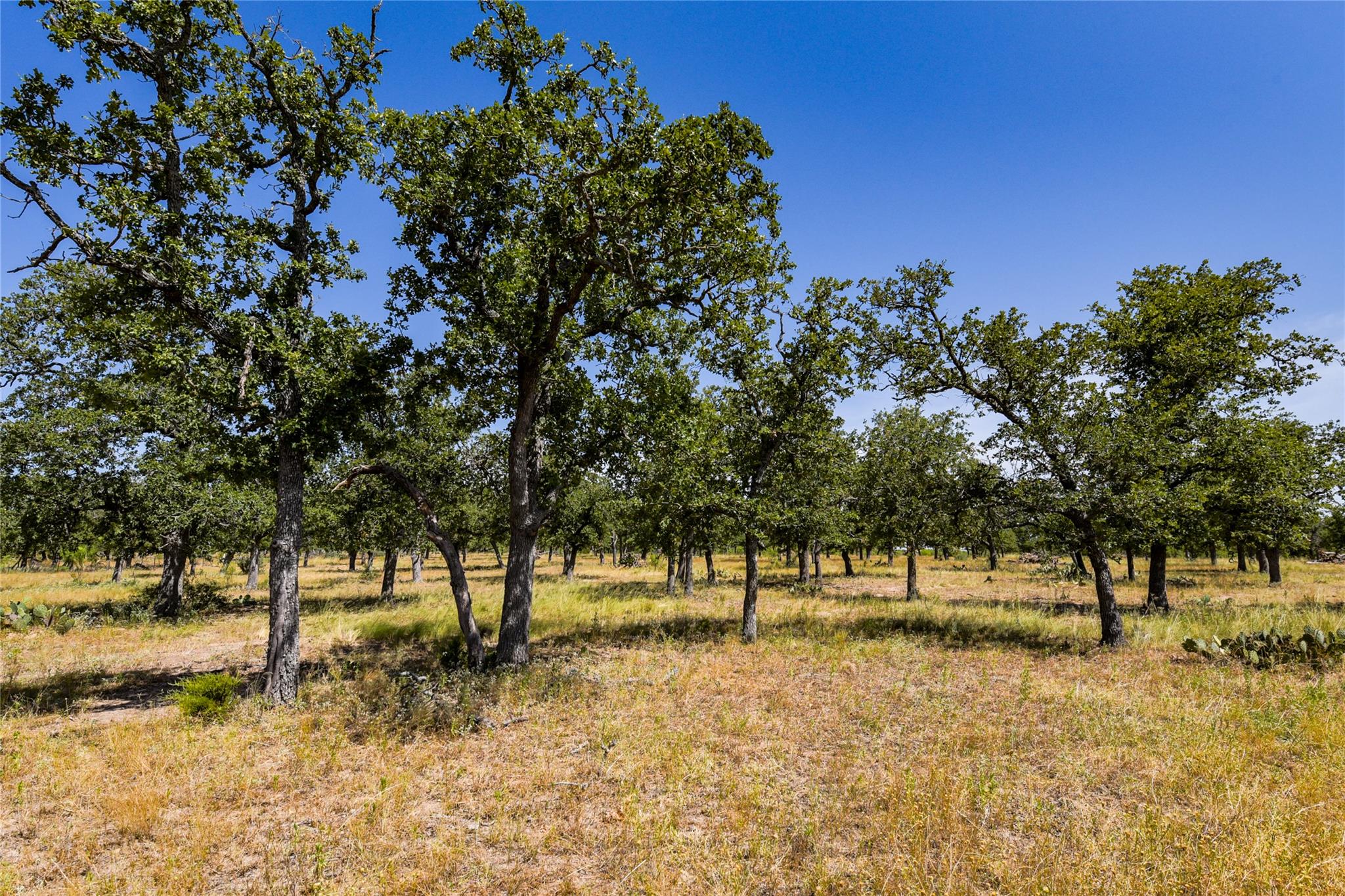 12350 N Hwy 16 Highway, Fredericksburg, TX 78624