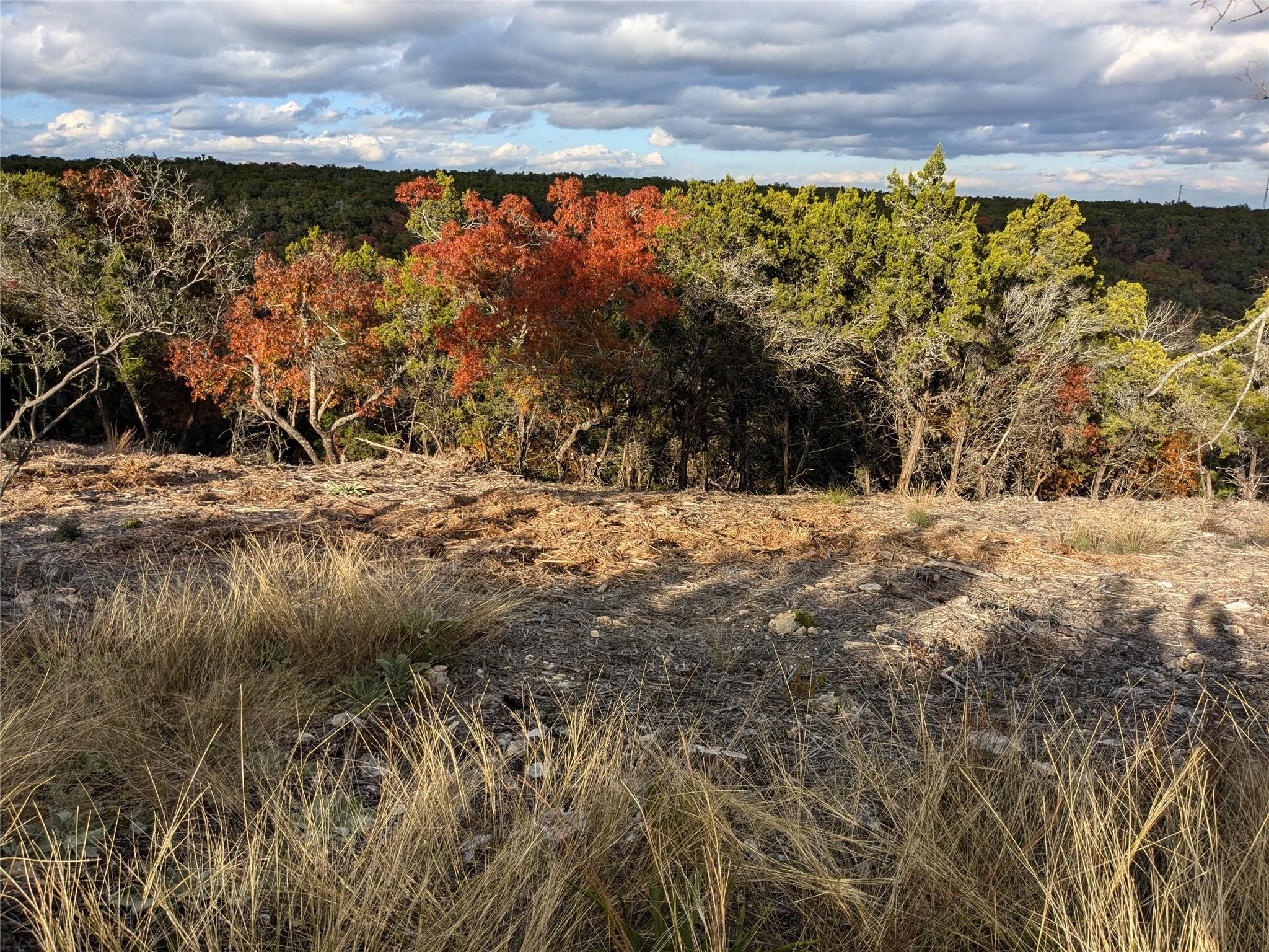 20702 Ramrod Trl, Lago Vista, TX 78645