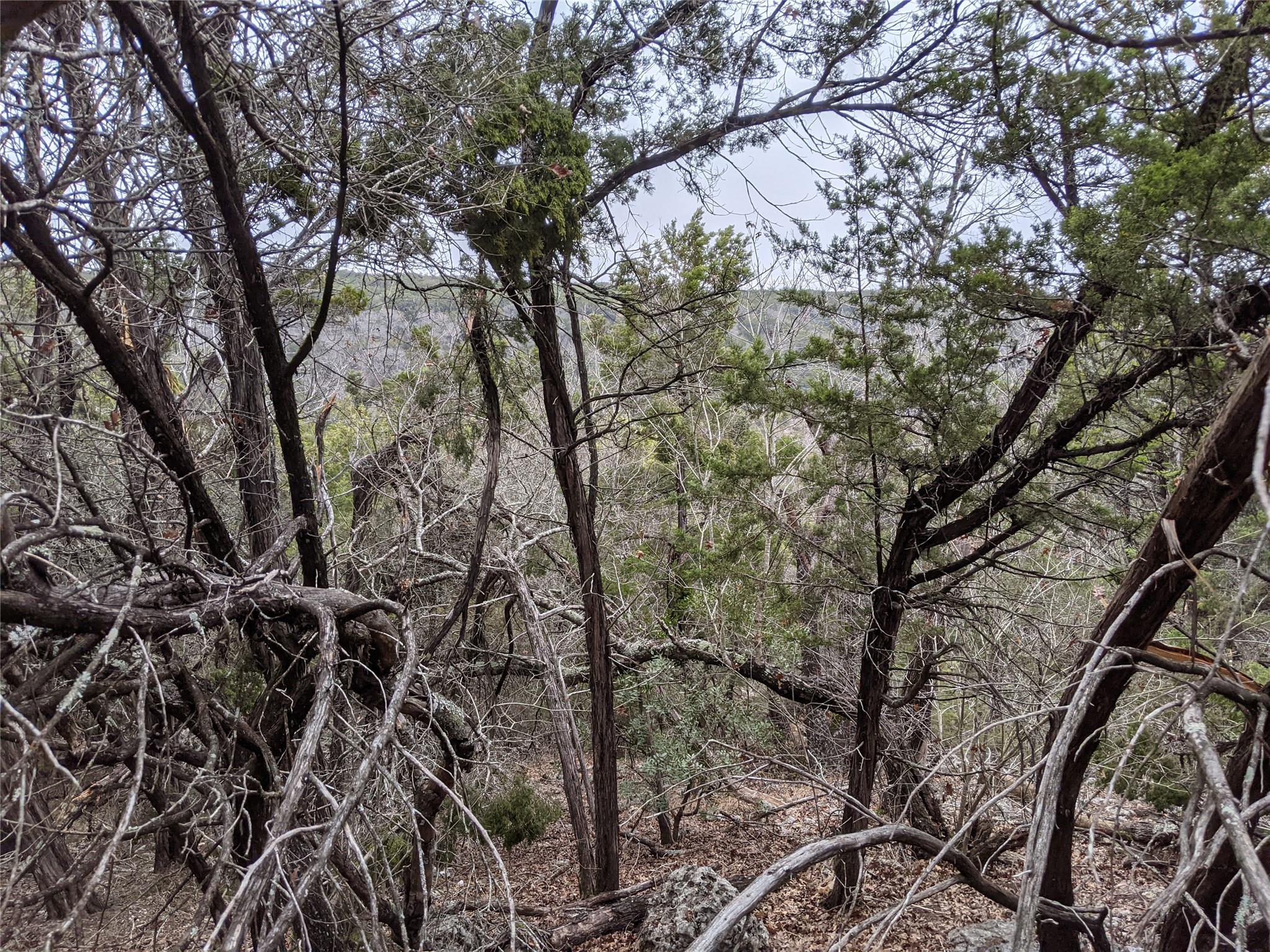 20702 Ramrod Trl, Lago Vista, TX 78645