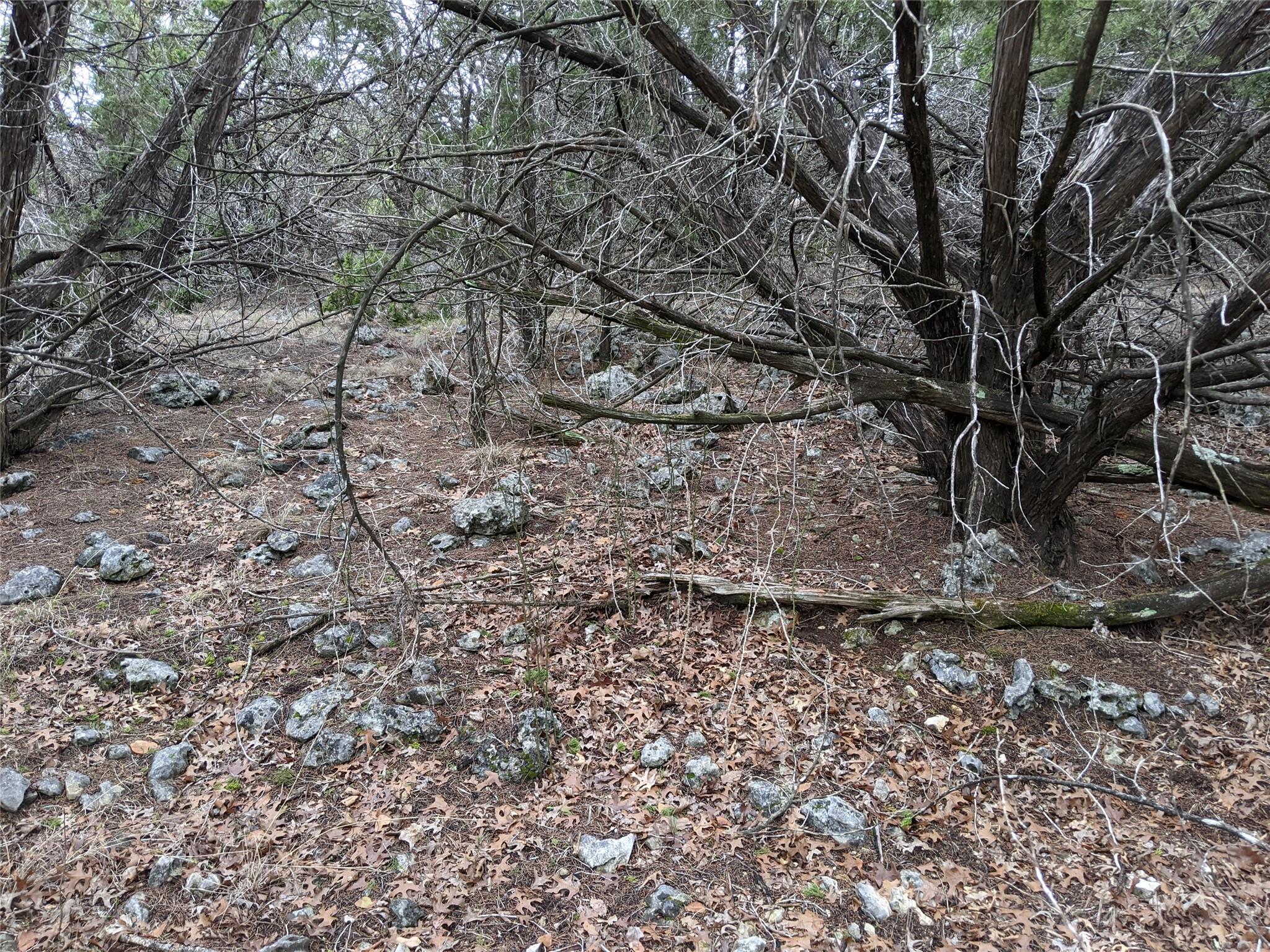 20702 Ramrod Trl, Lago Vista, TX 78645