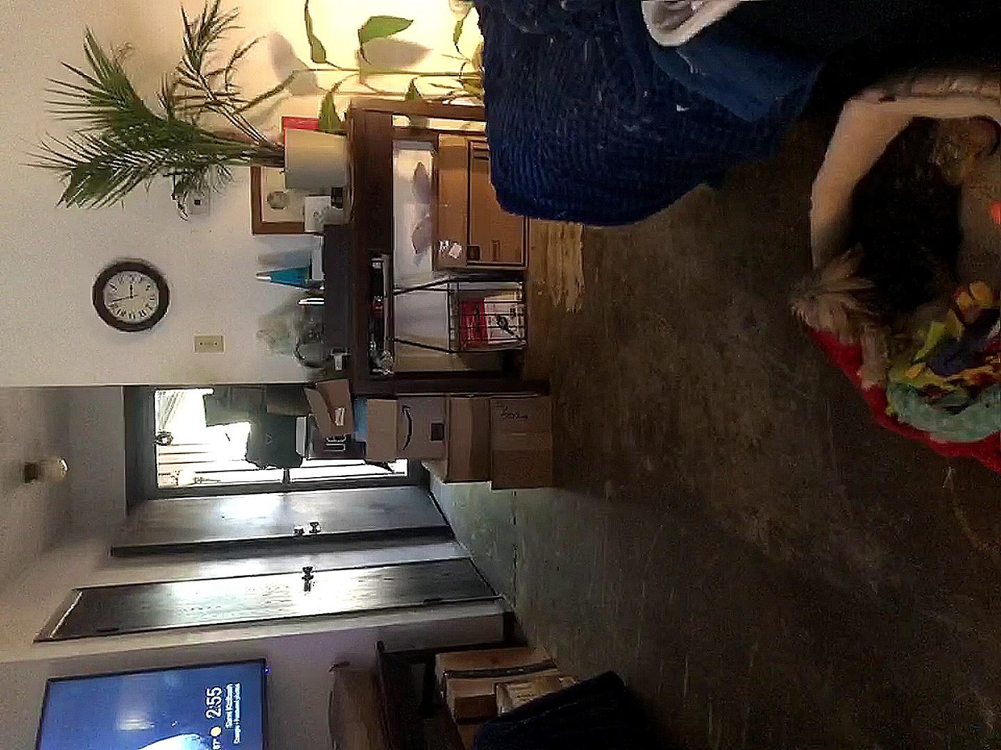 2333 Aldford Dr, Austin, TX 78745