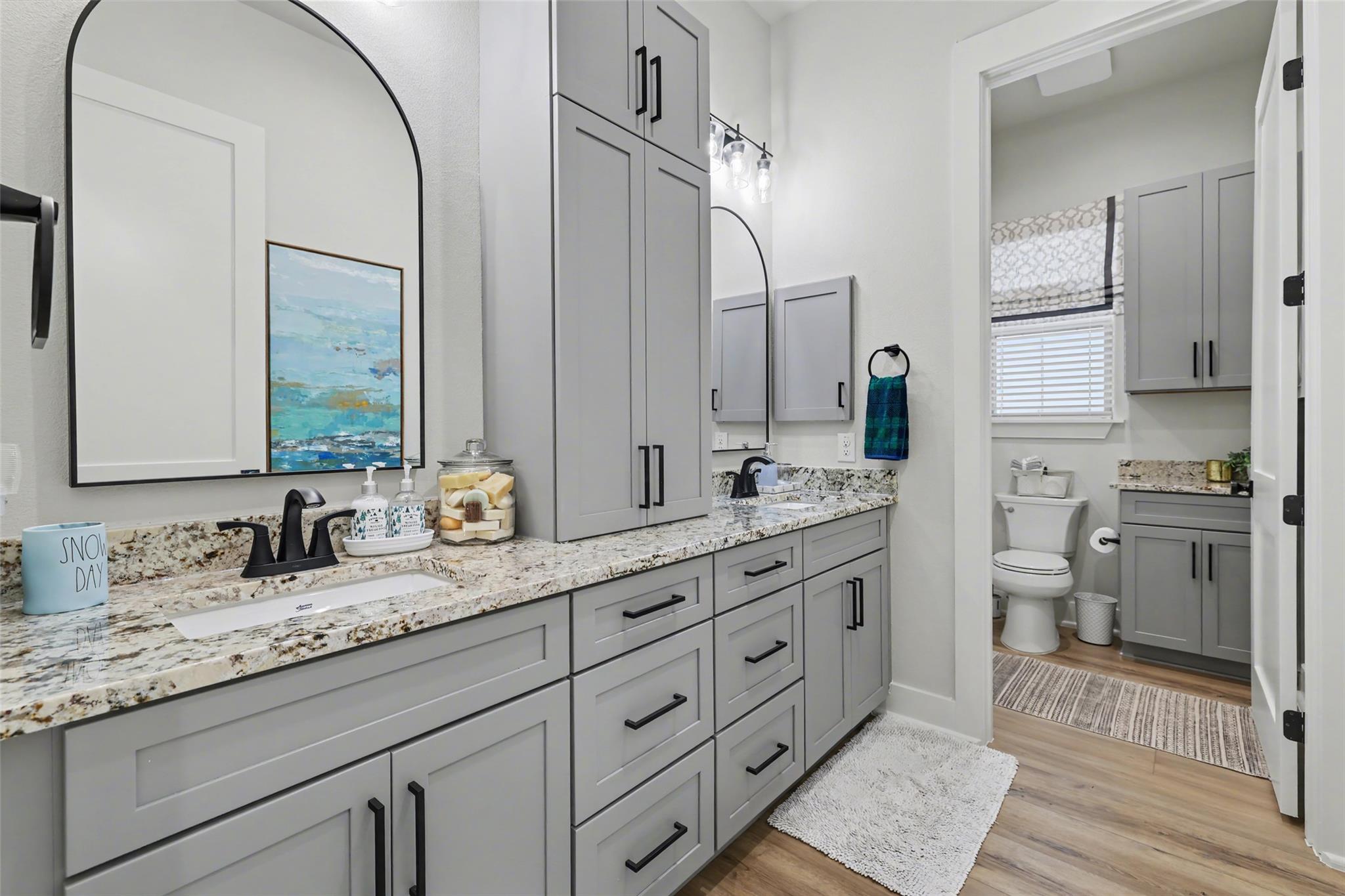 500 Yellow Senna Pl, Liberty Hill, TX 78642