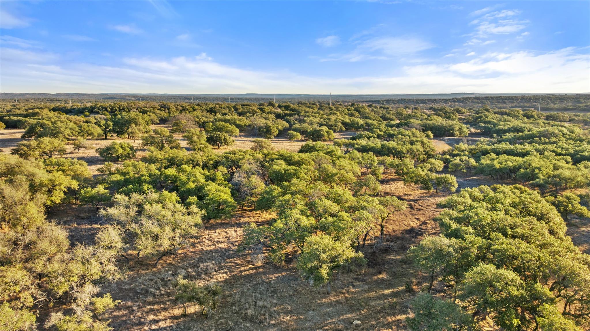 1422-10 RM 2766, Johnson City, TX 78636