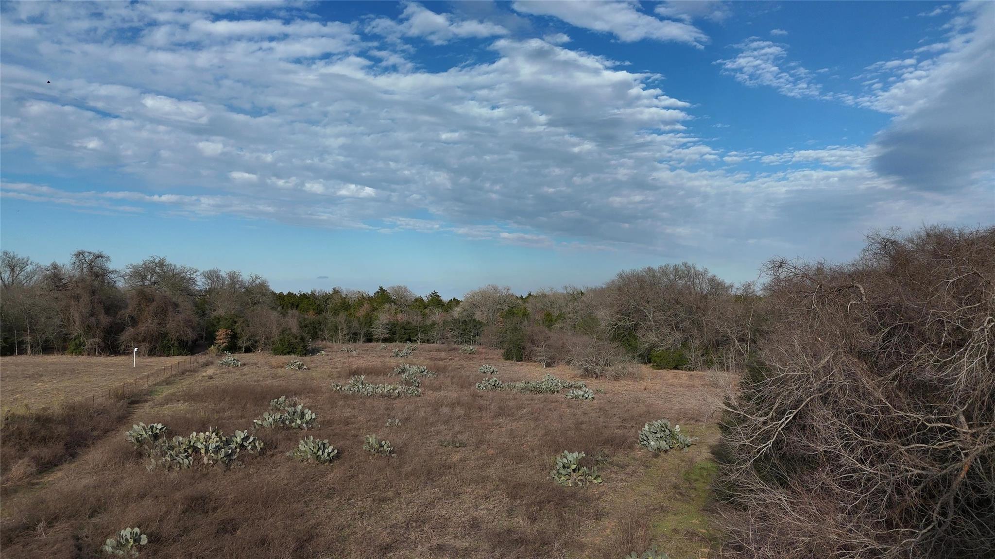 4668 Fm 535, Cedar Creek, TX 78612