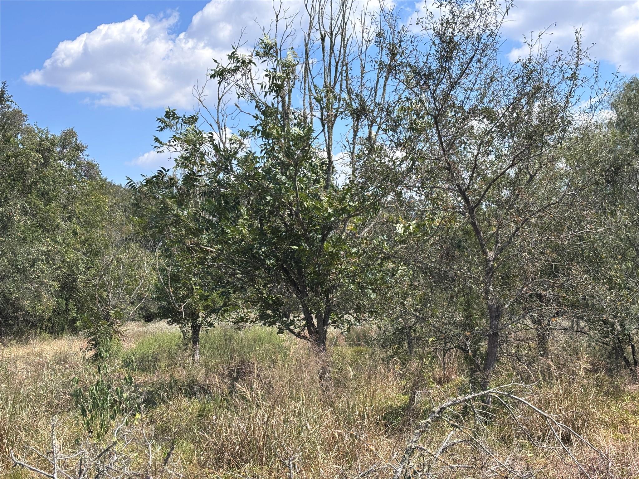 4668 Fm 535, Cedar Creek, TX 78612