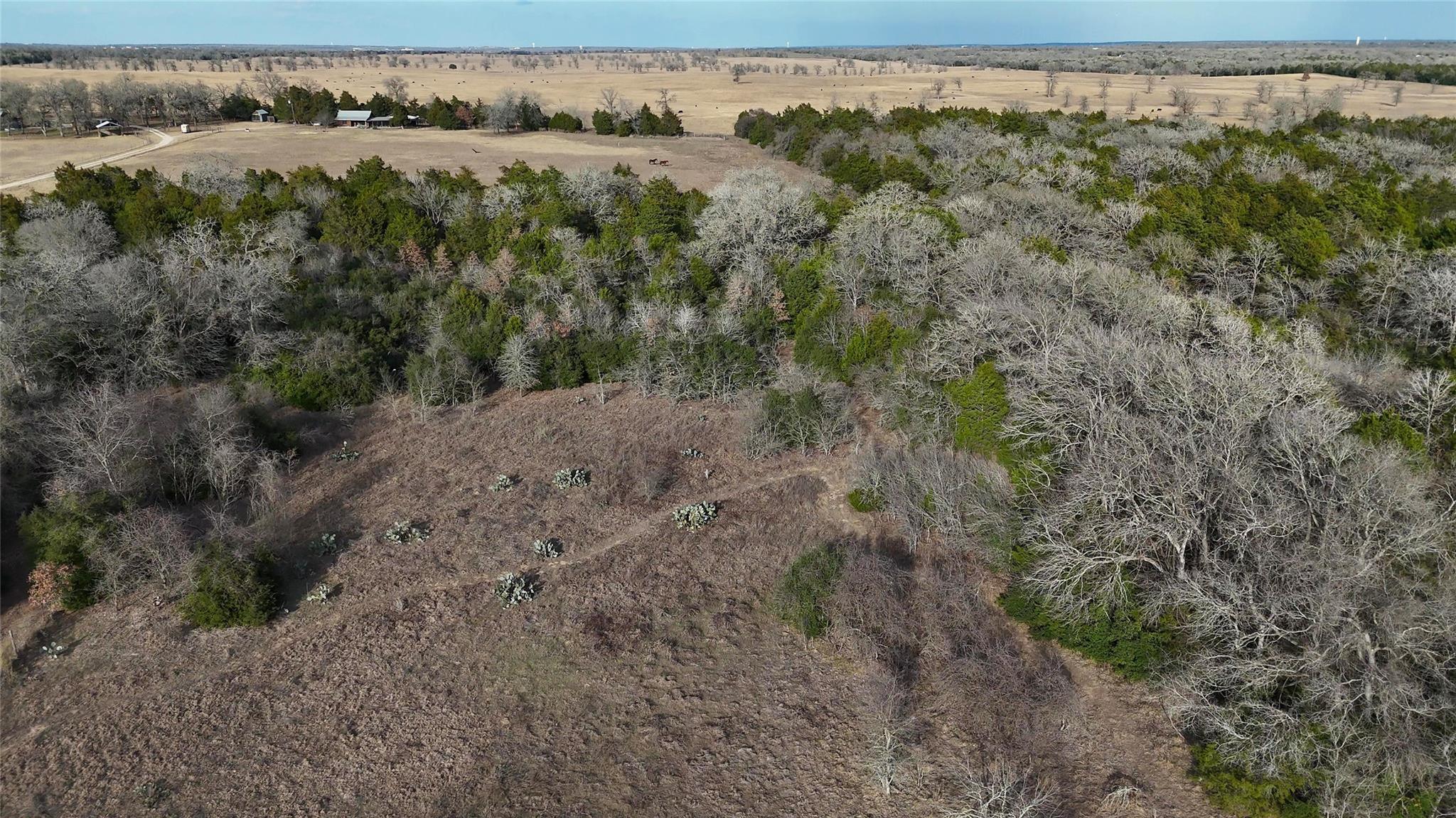 4668 Fm 535, Cedar Creek, TX 78612