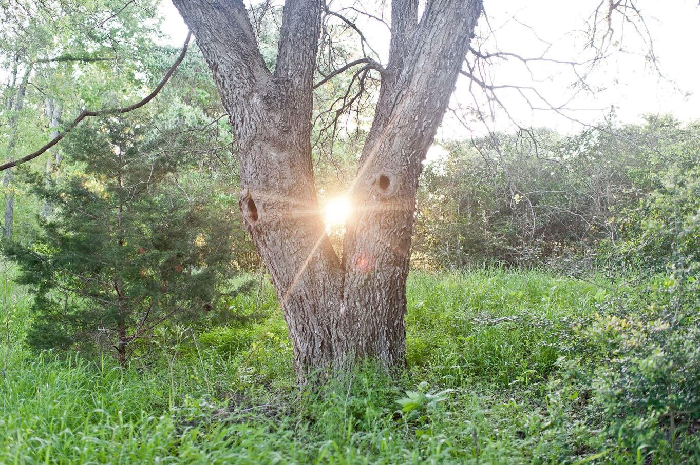 4668 Fm 535, Cedar Creek, TX 78612