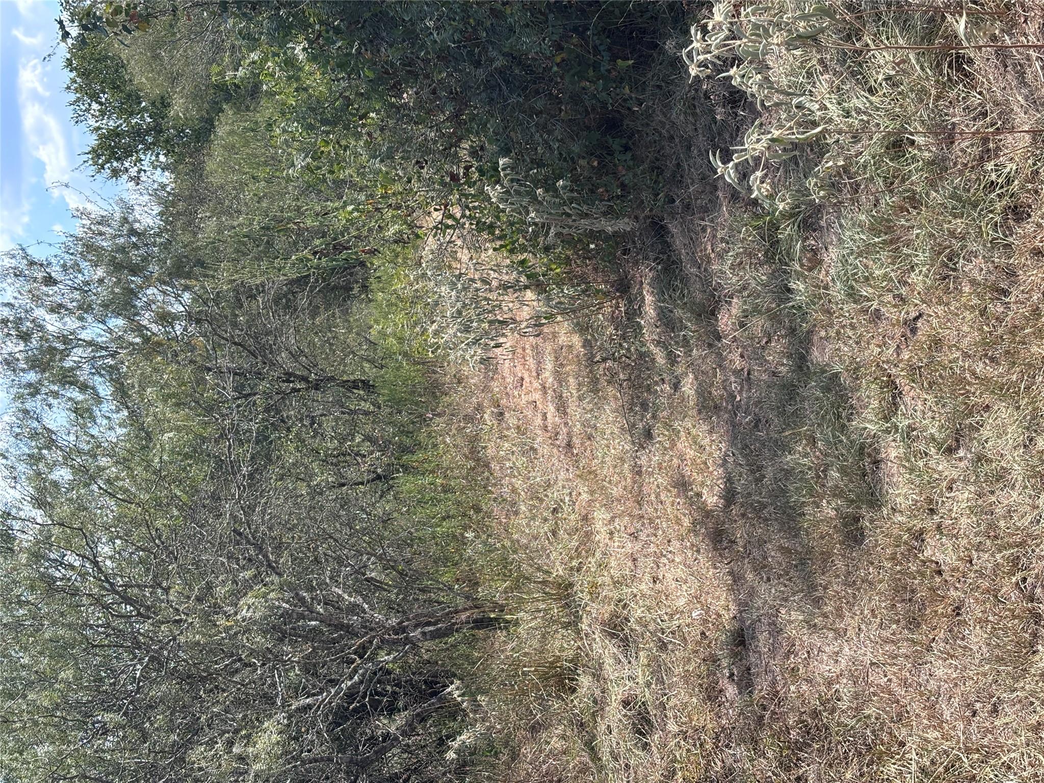 4668 Fm 535, Cedar Creek, TX 78612