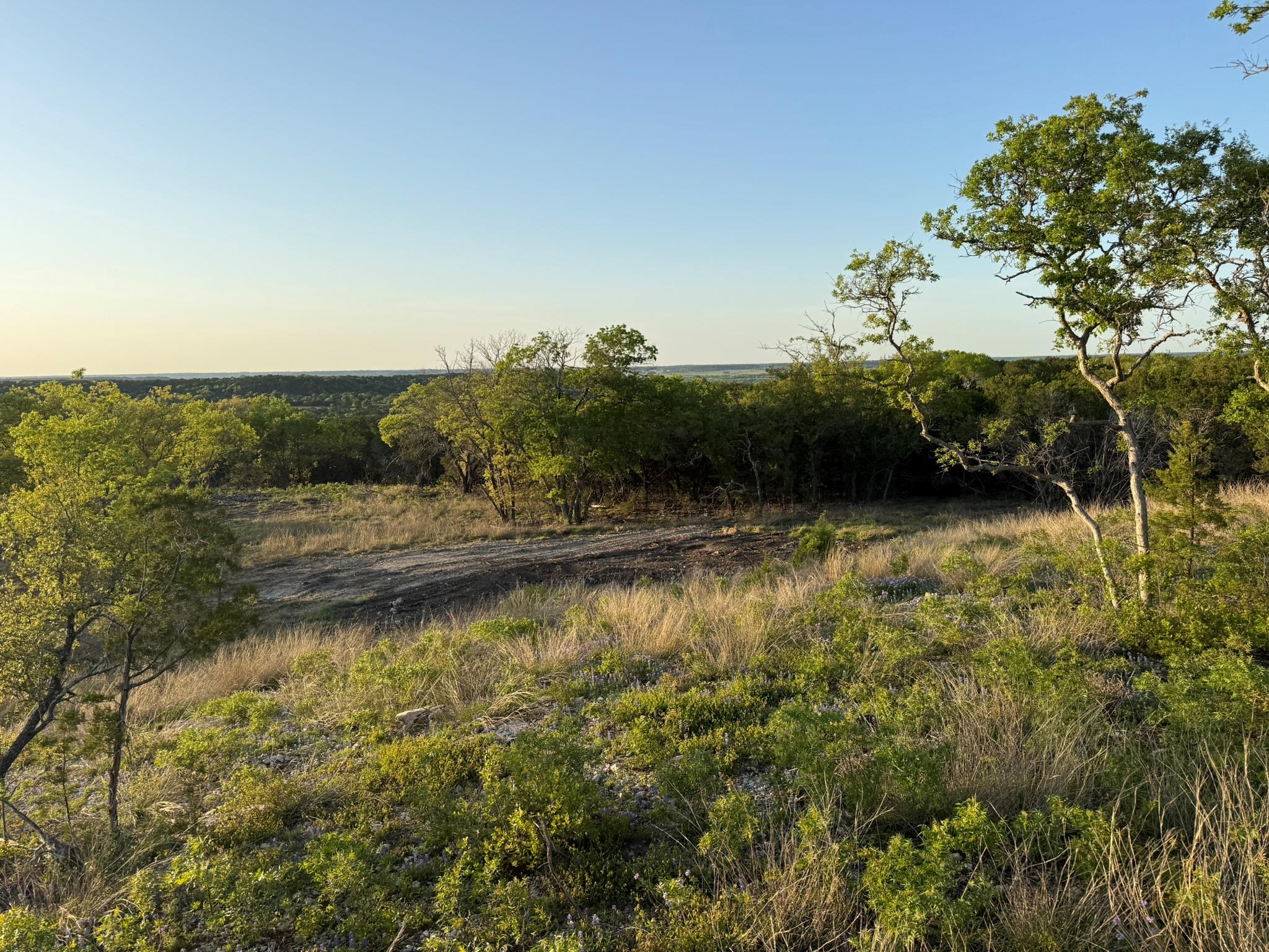 14435 Fm 182, Clifton, TX 76634