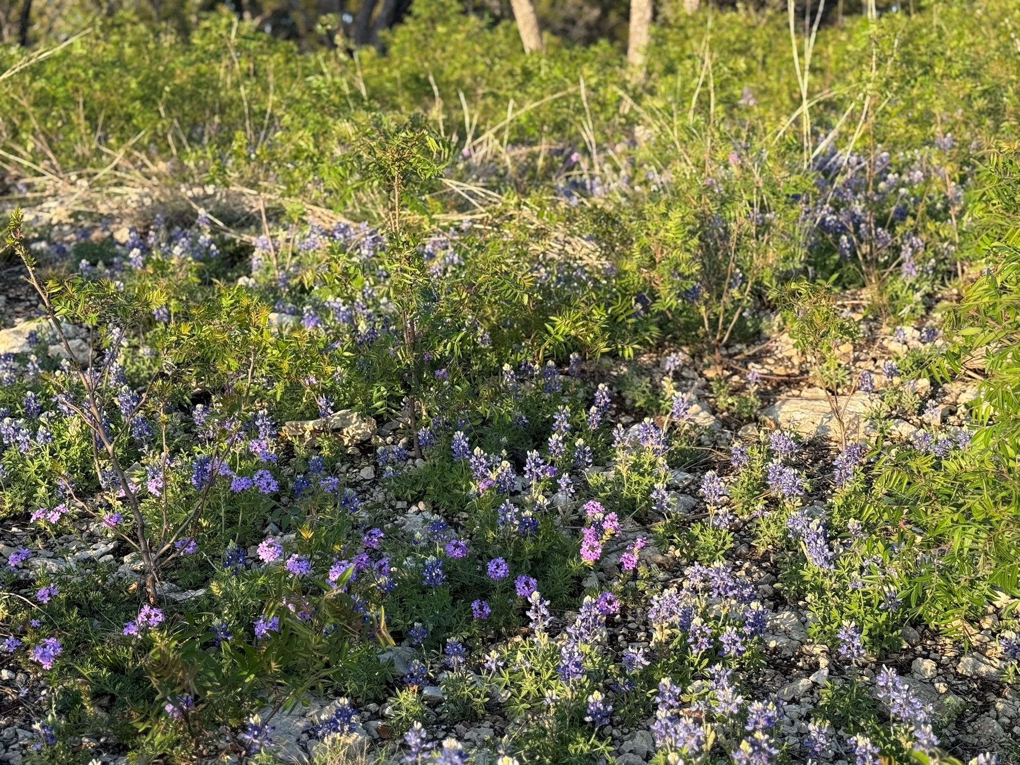 14435 Fm 182, Clifton, TX 76634