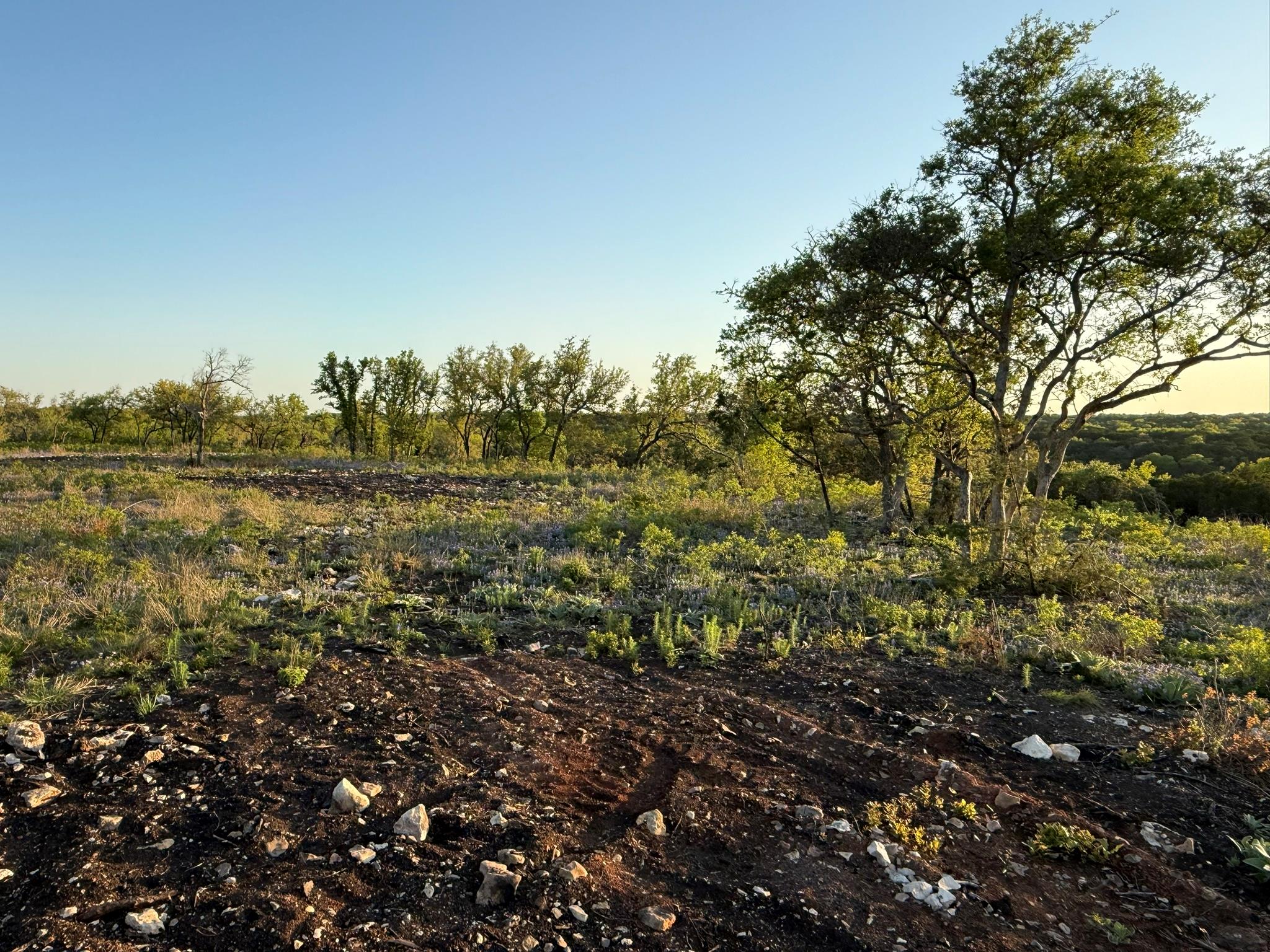 14435 Fm 182, Clifton, TX 76634