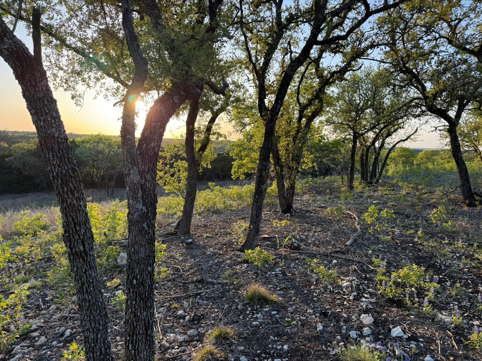 14435 Fm 182, Clifton, TX 76634