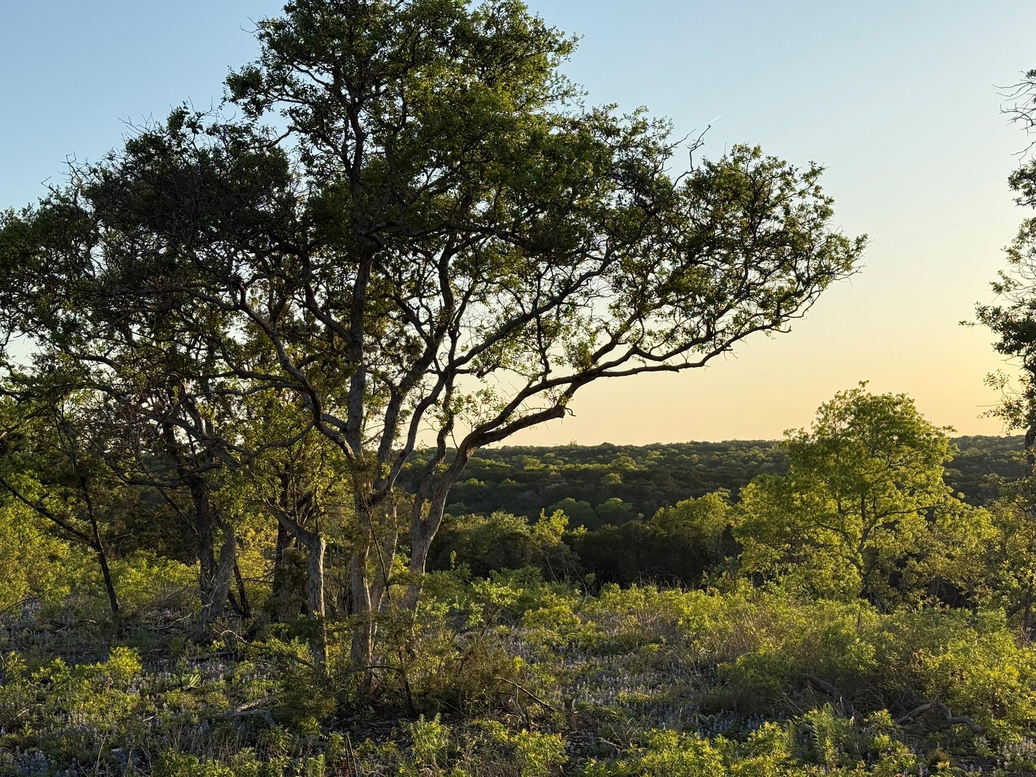 14435 Fm 182, Clifton, TX 76634