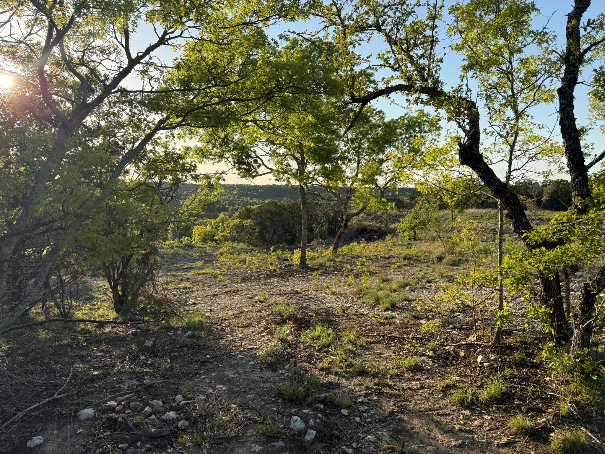 14435 Fm 182, Clifton, TX 76634