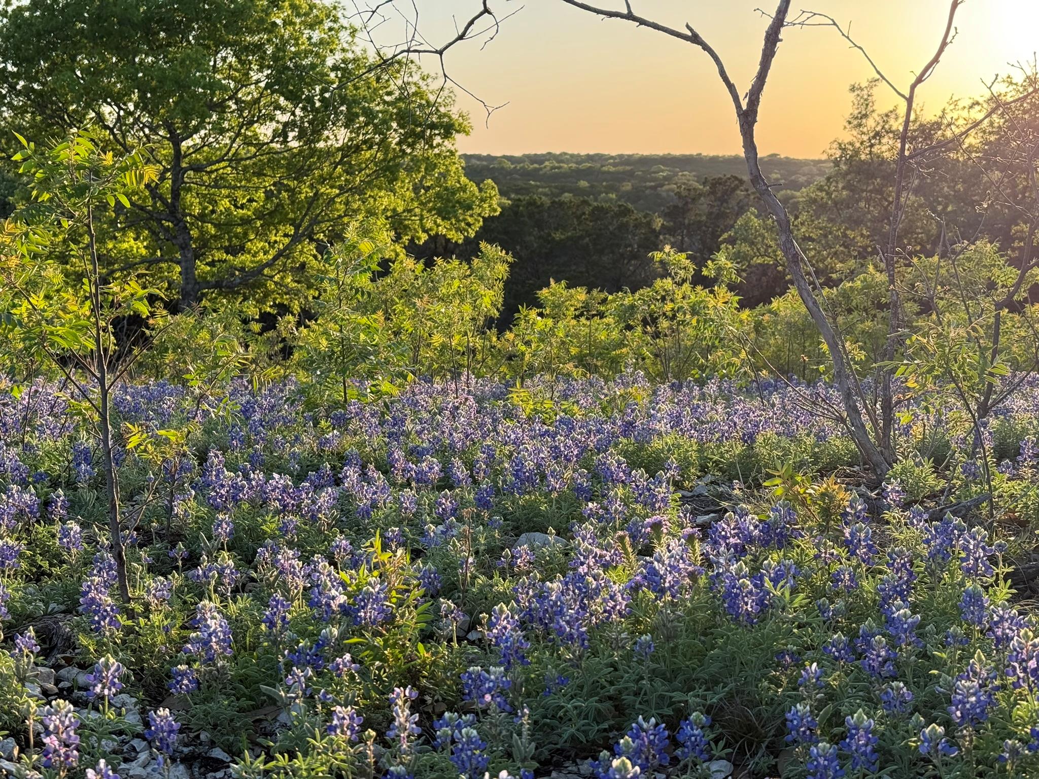 14435 Fm 182, Clifton, TX 76634