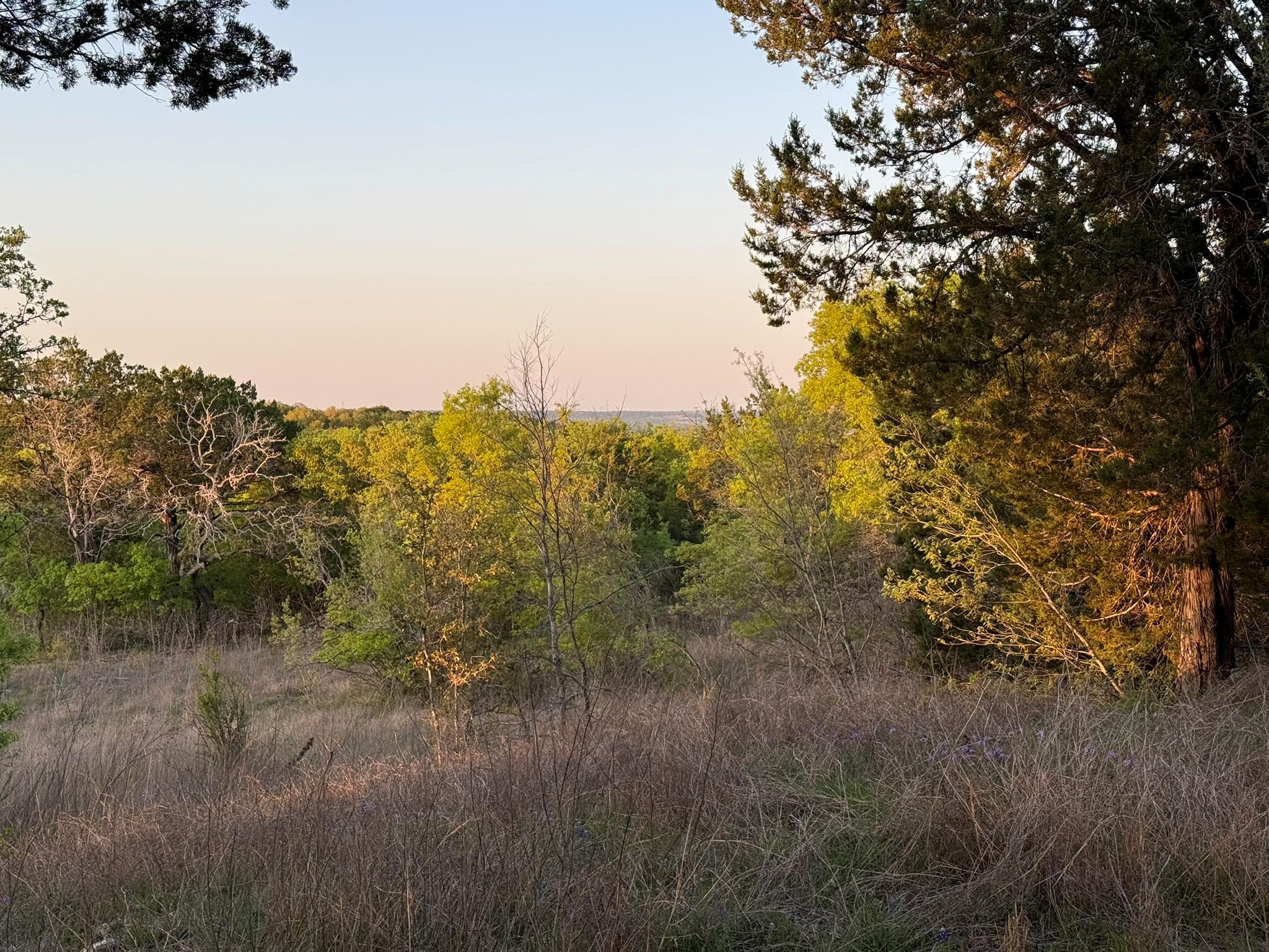 14435 Fm 182, Clifton, TX 76634