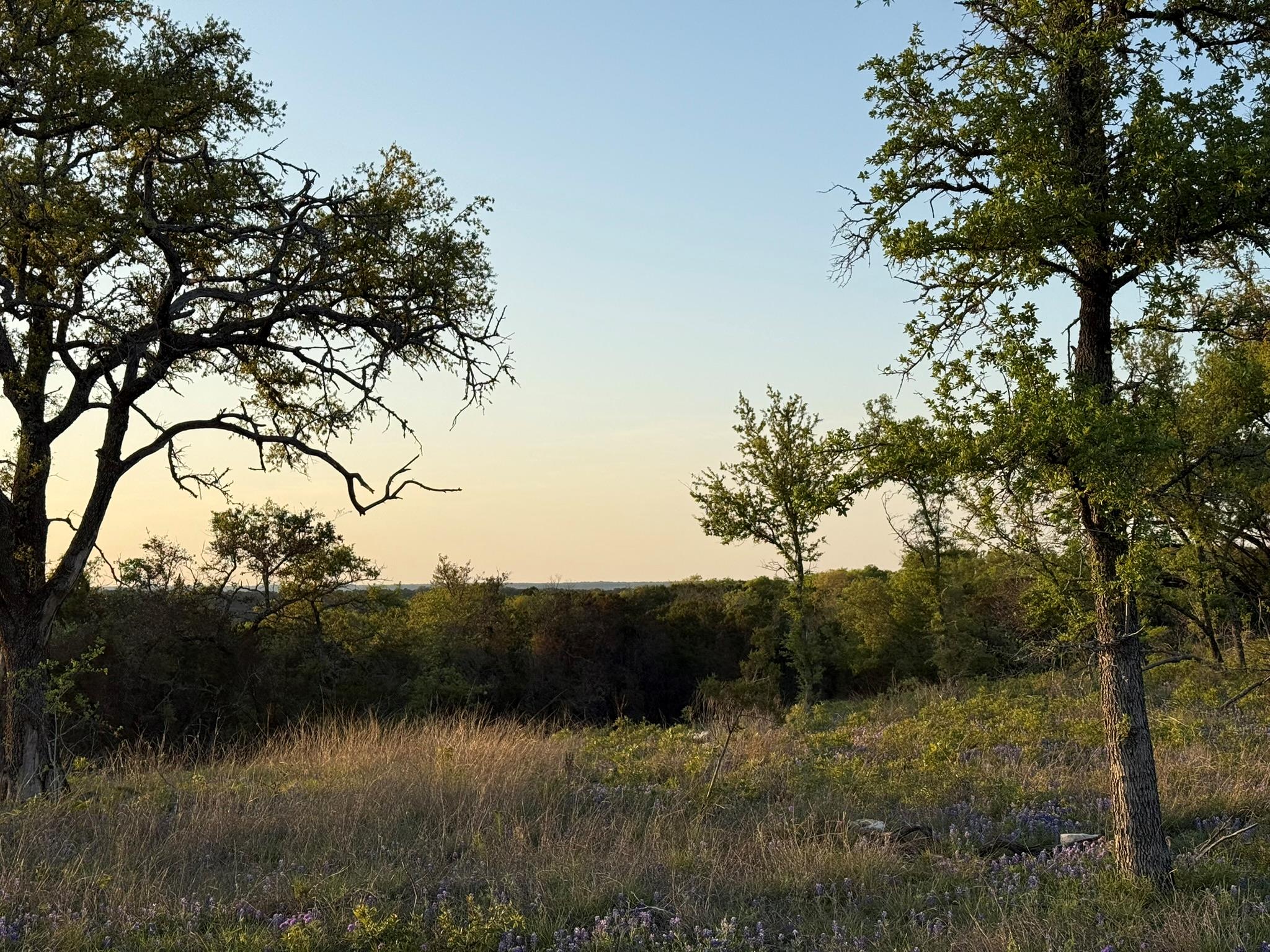 14435 Fm 182, Clifton, TX 76634