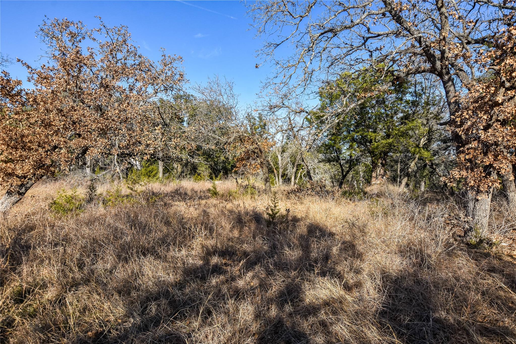 430 County Road 220, Florence, TX 76527