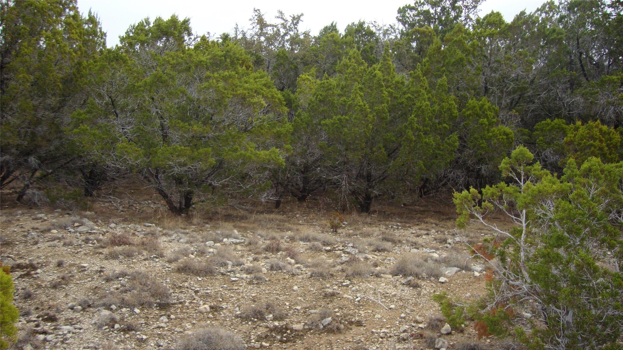 7700 Bar-K Ranch Rd, Lago Vista, TX 78645