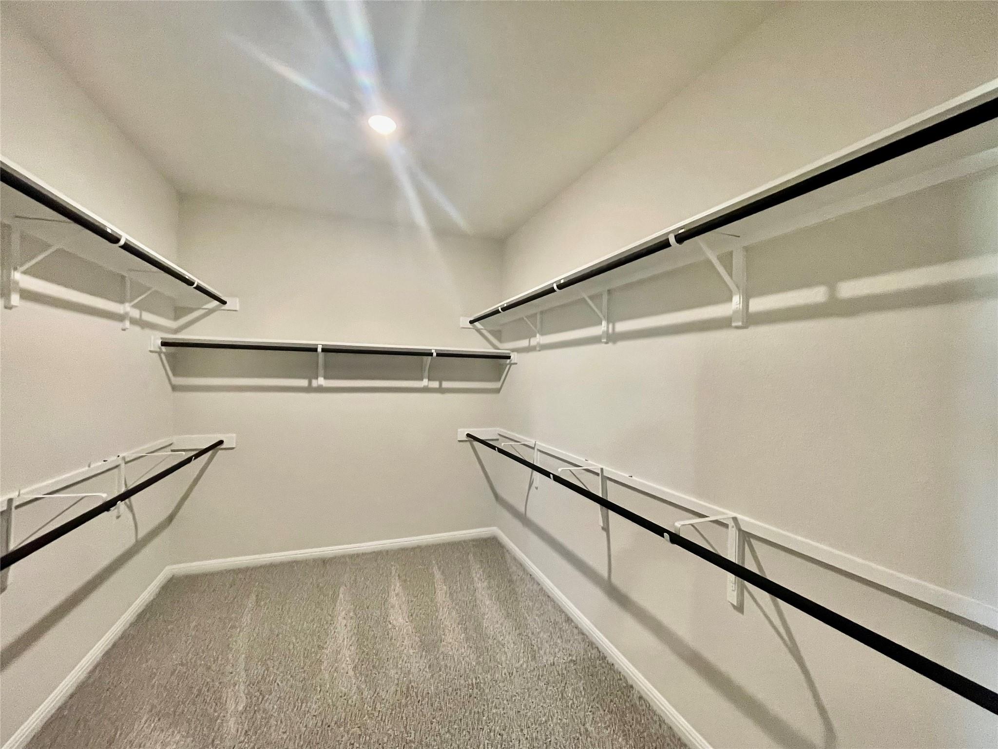 111 Ostracoda Ln, Hutto, TX 78634