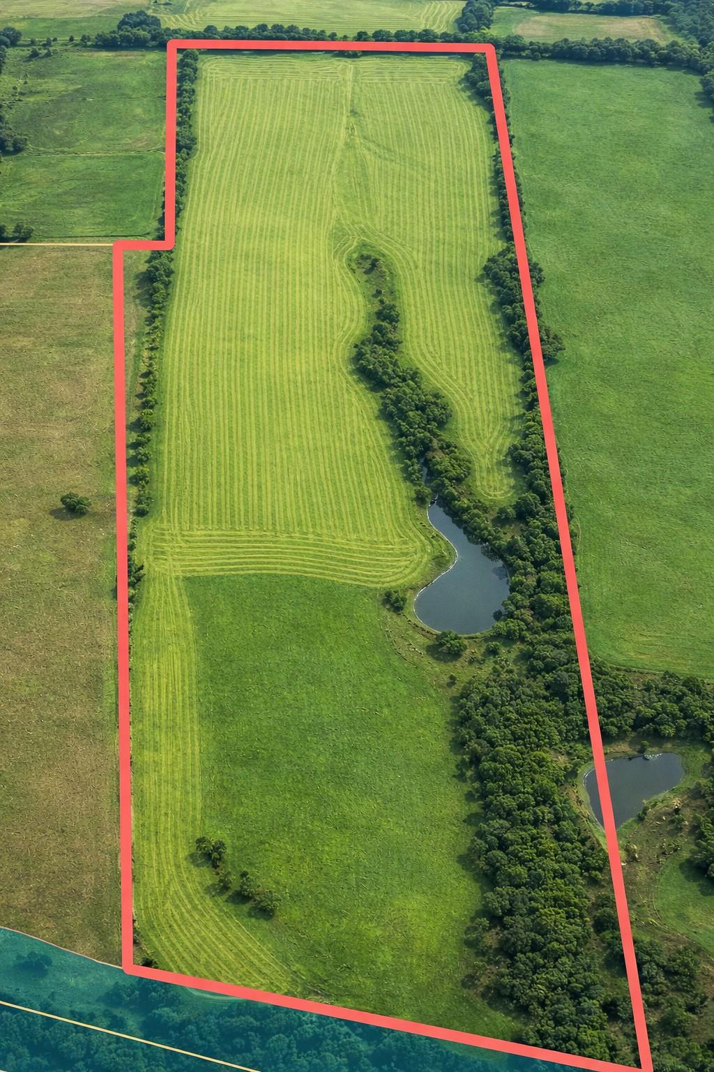 TBD (+/- 38.77 Acres) Andreski Rd, Bremond, TX 76629