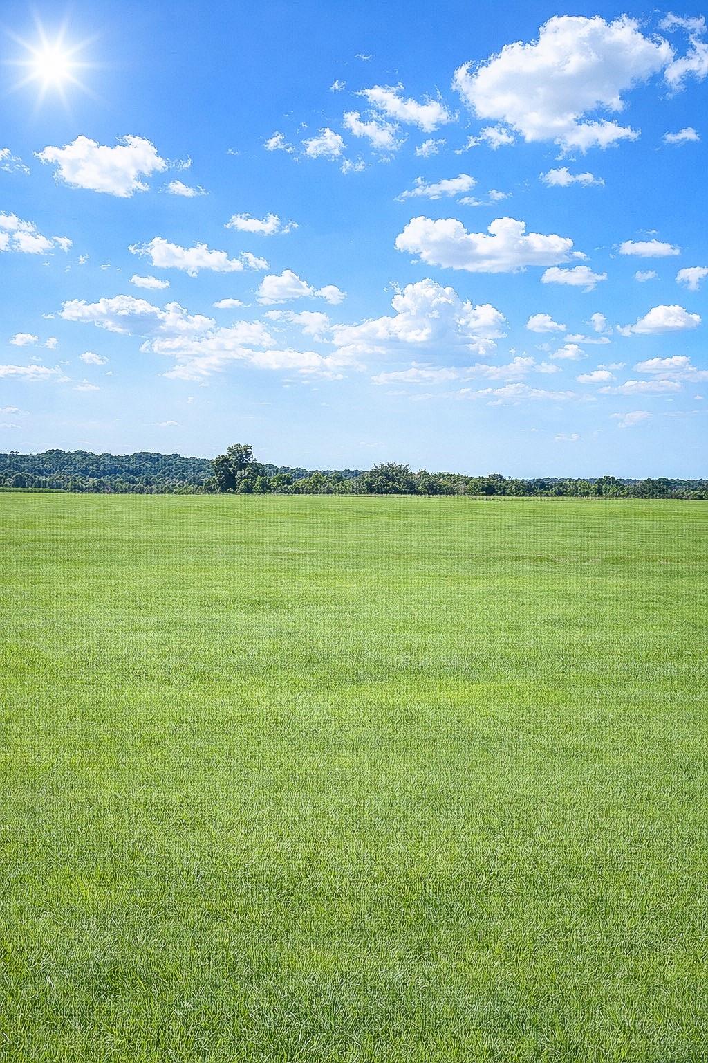 TBD (+/- 38.77 Acres) Andreski Rd, Bremond, TX 76629