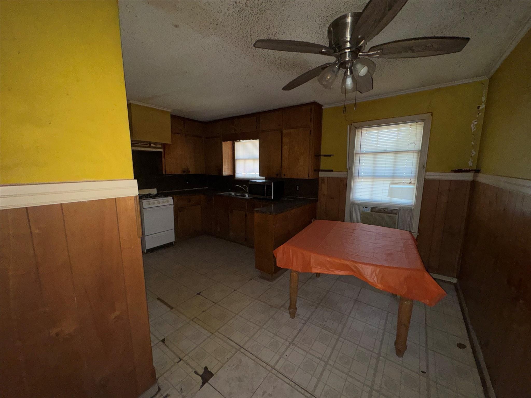 1115 Kirk Ave, Austin, TX 78702