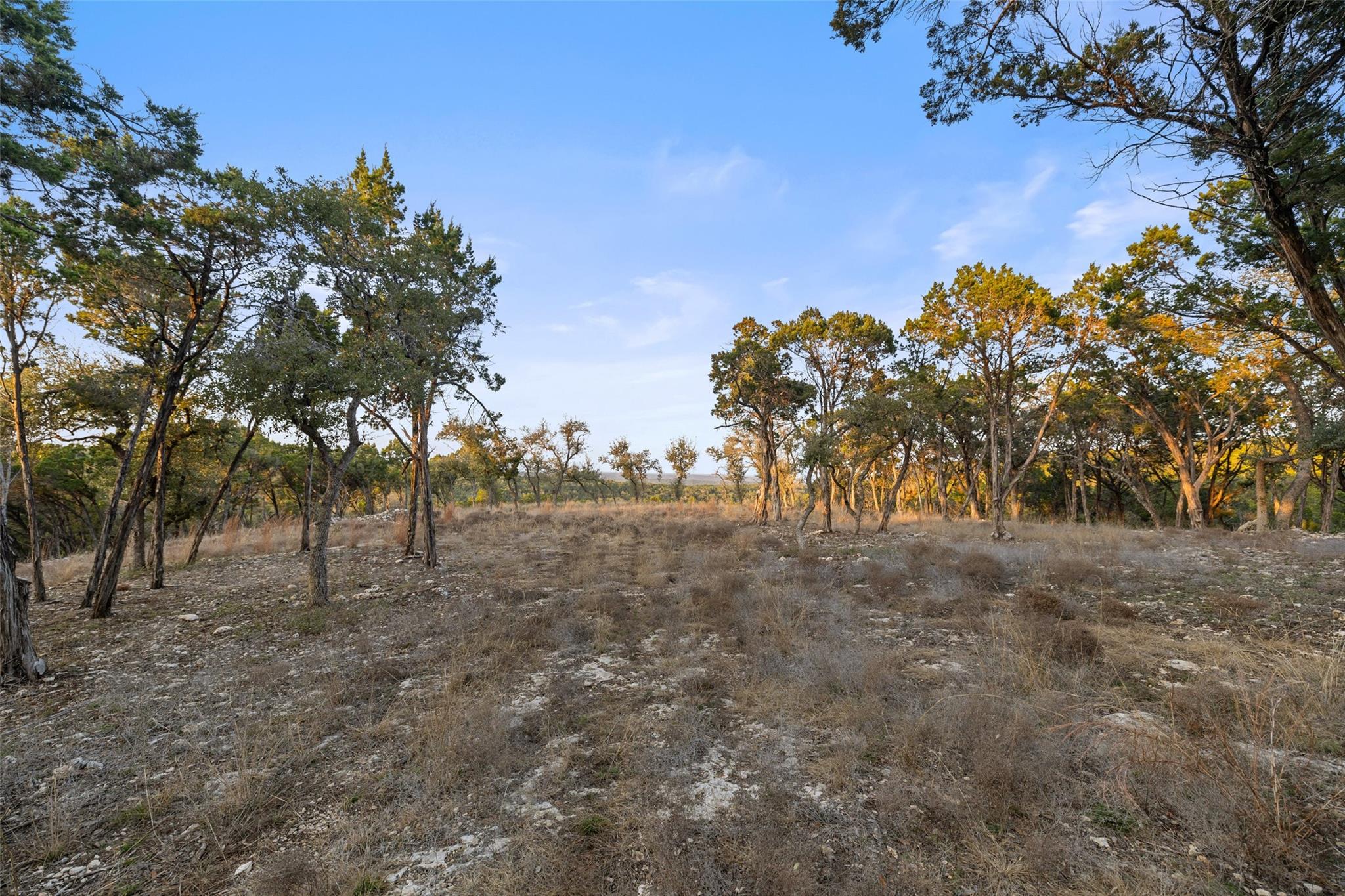 5946 Grotto Creek Ct, Fischer, TX 78623