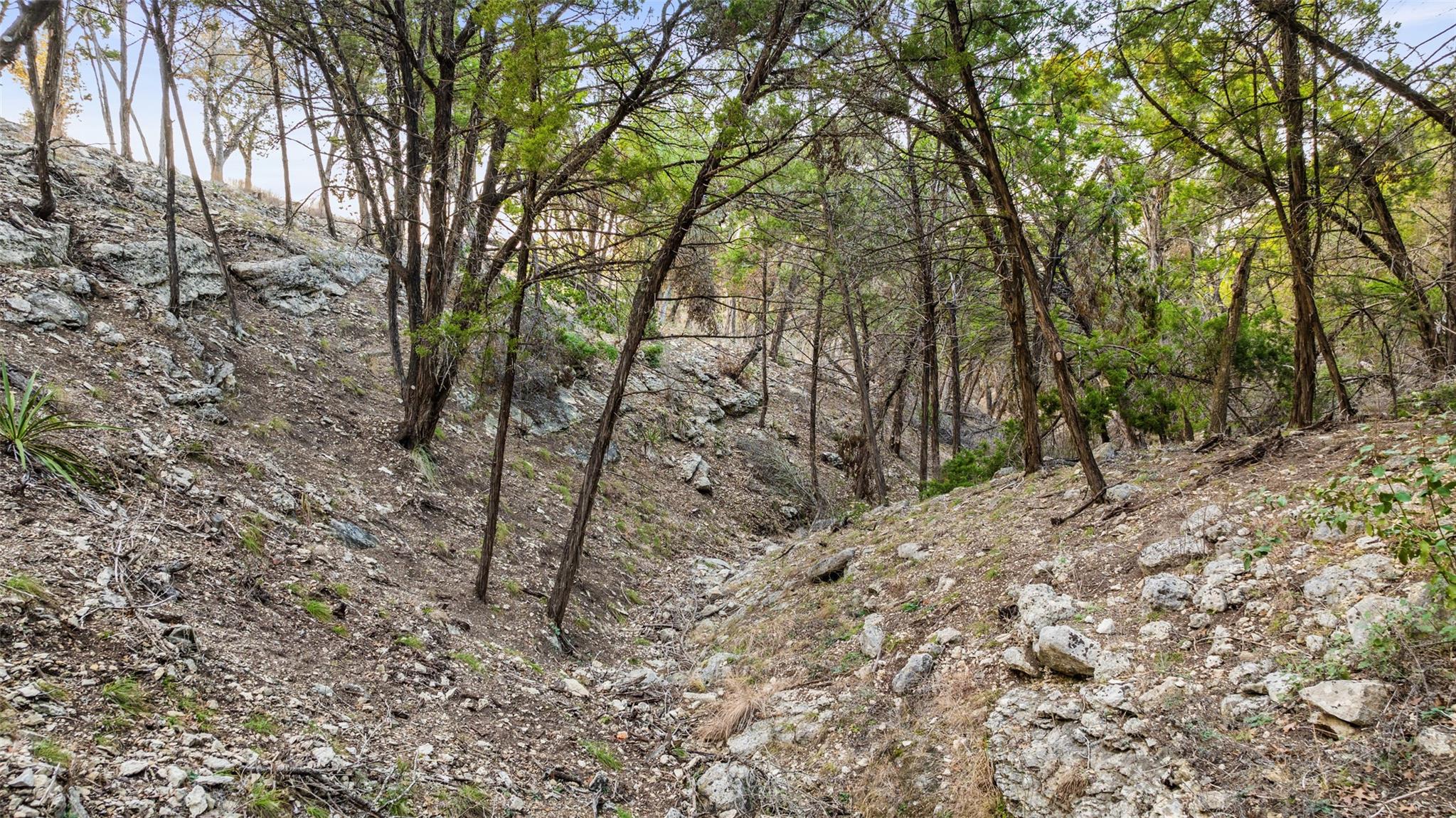 5946 Grotto Creek Ct, Fischer, TX 78623