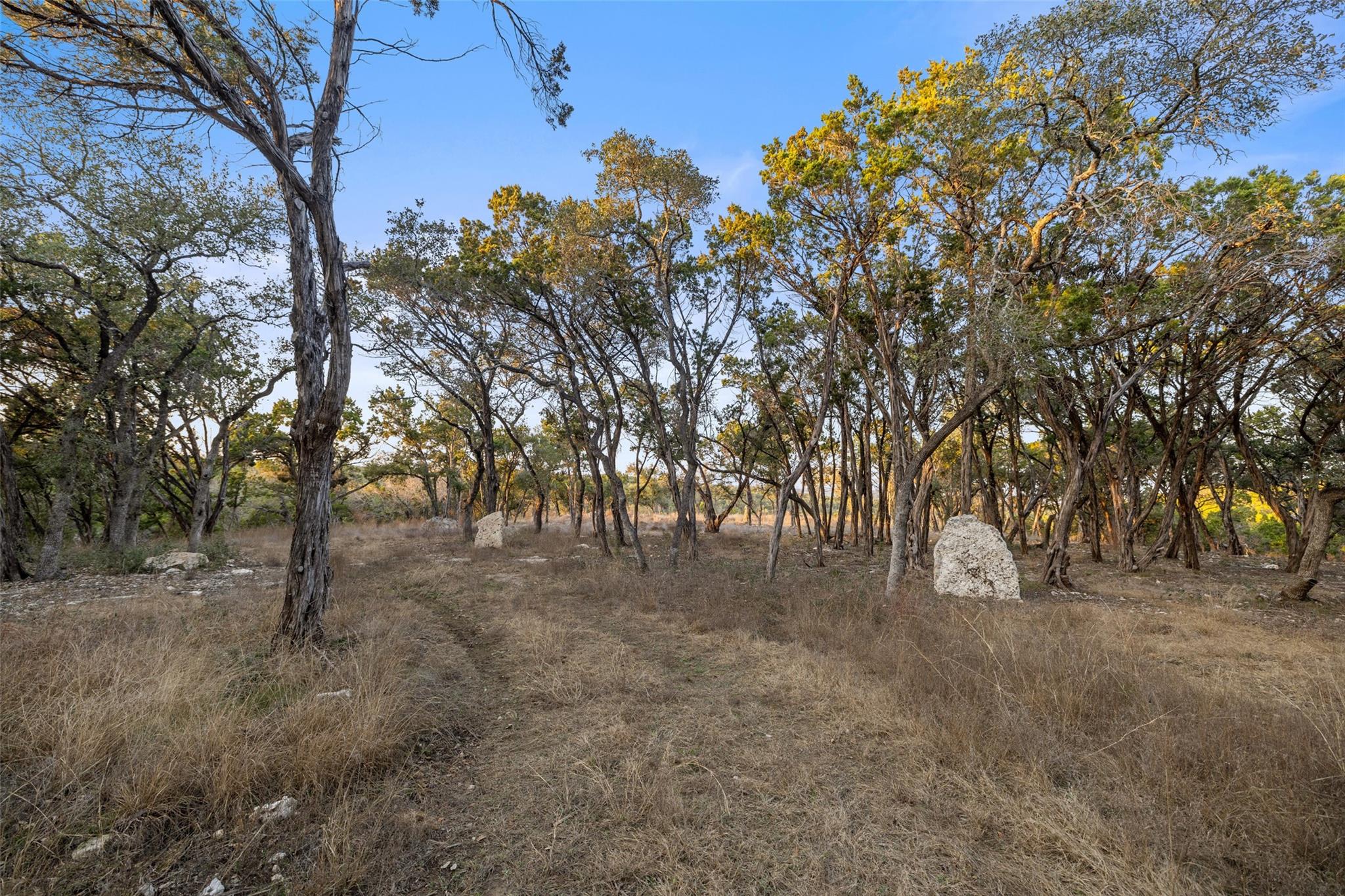 5946 Grotto Creek Ct, Fischer, TX 78623