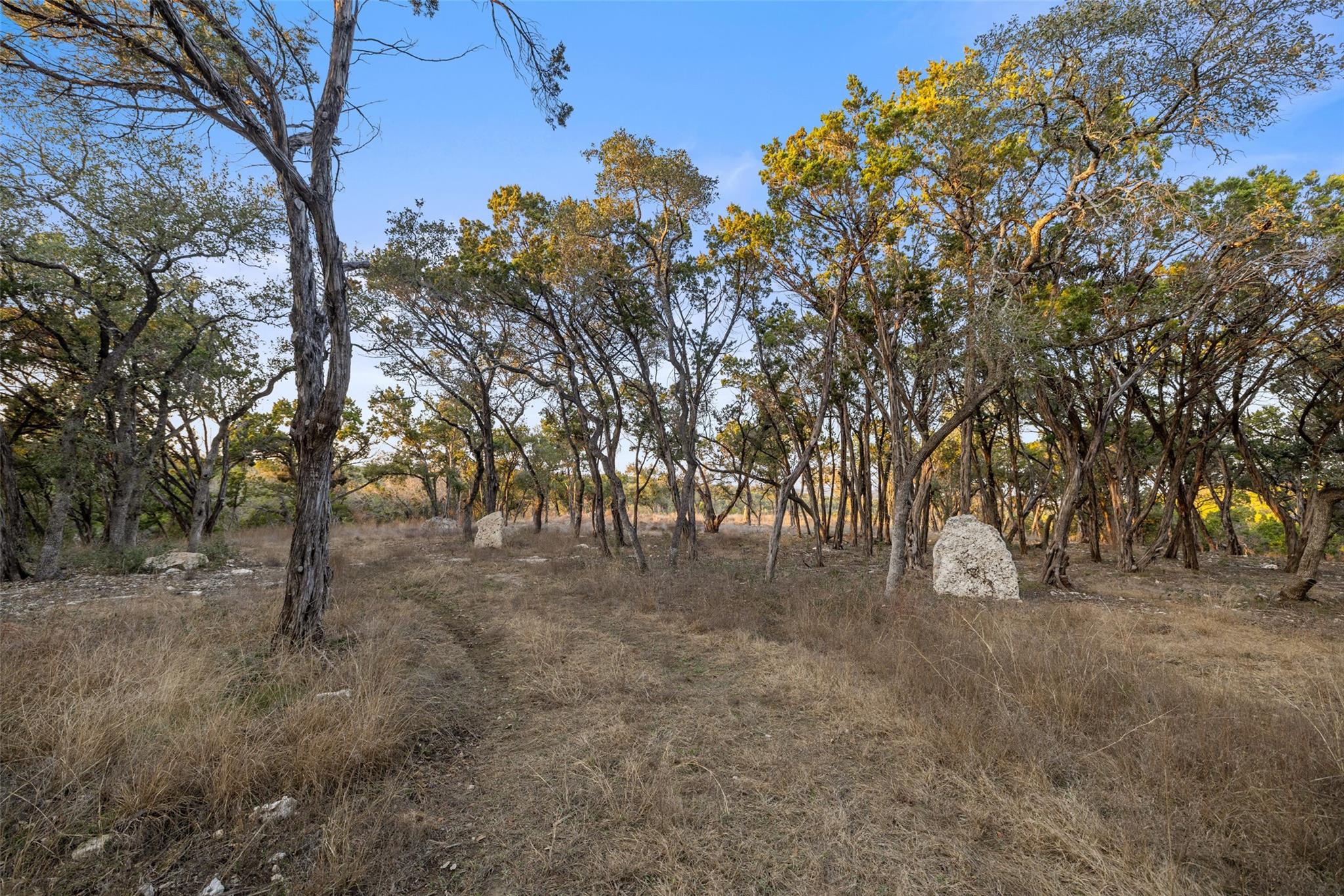 5946 Grotto Creek Ct, Fischer, TX 78623