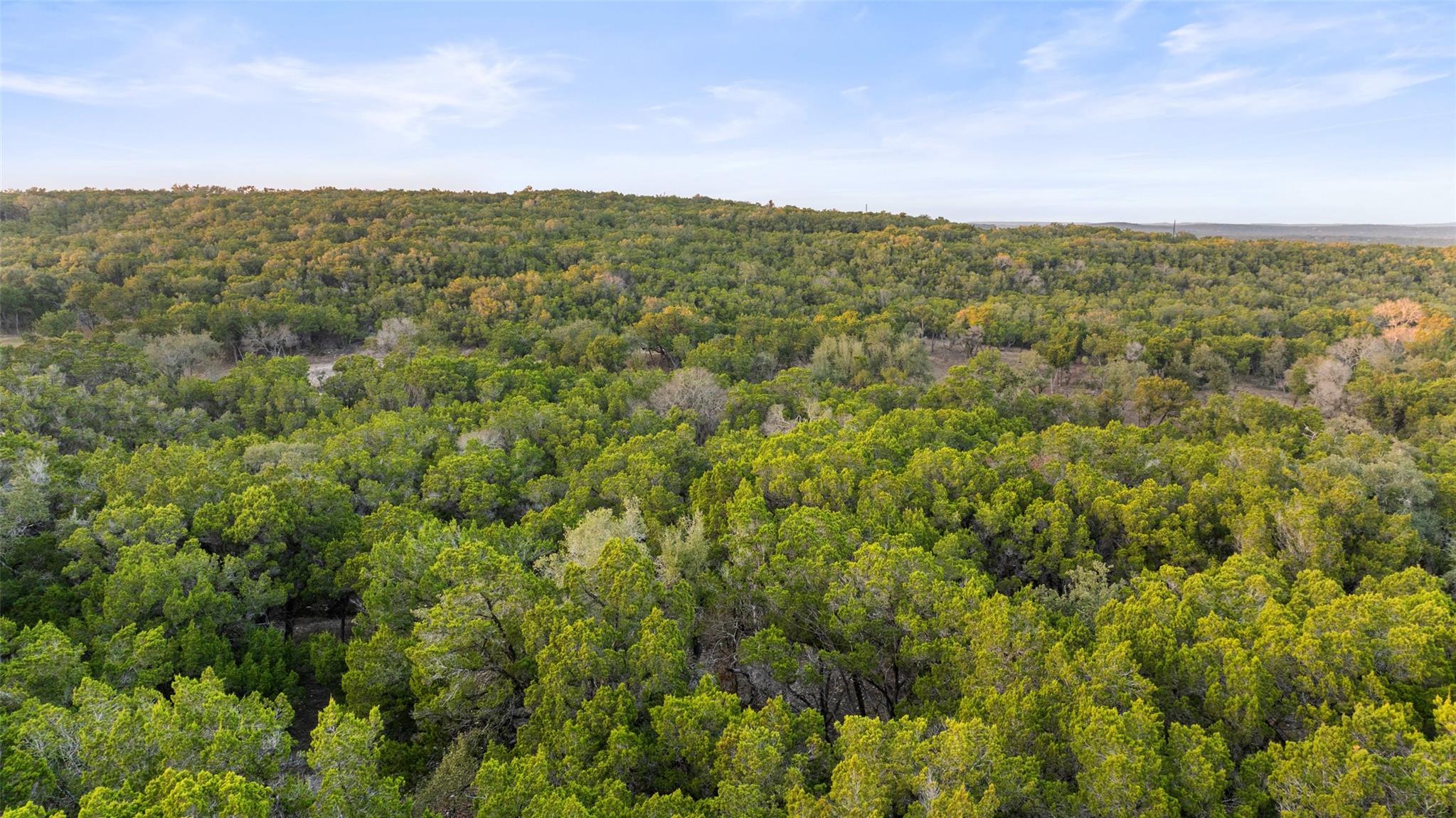 5946 Grotto Creek Ct, Fischer, TX 78623