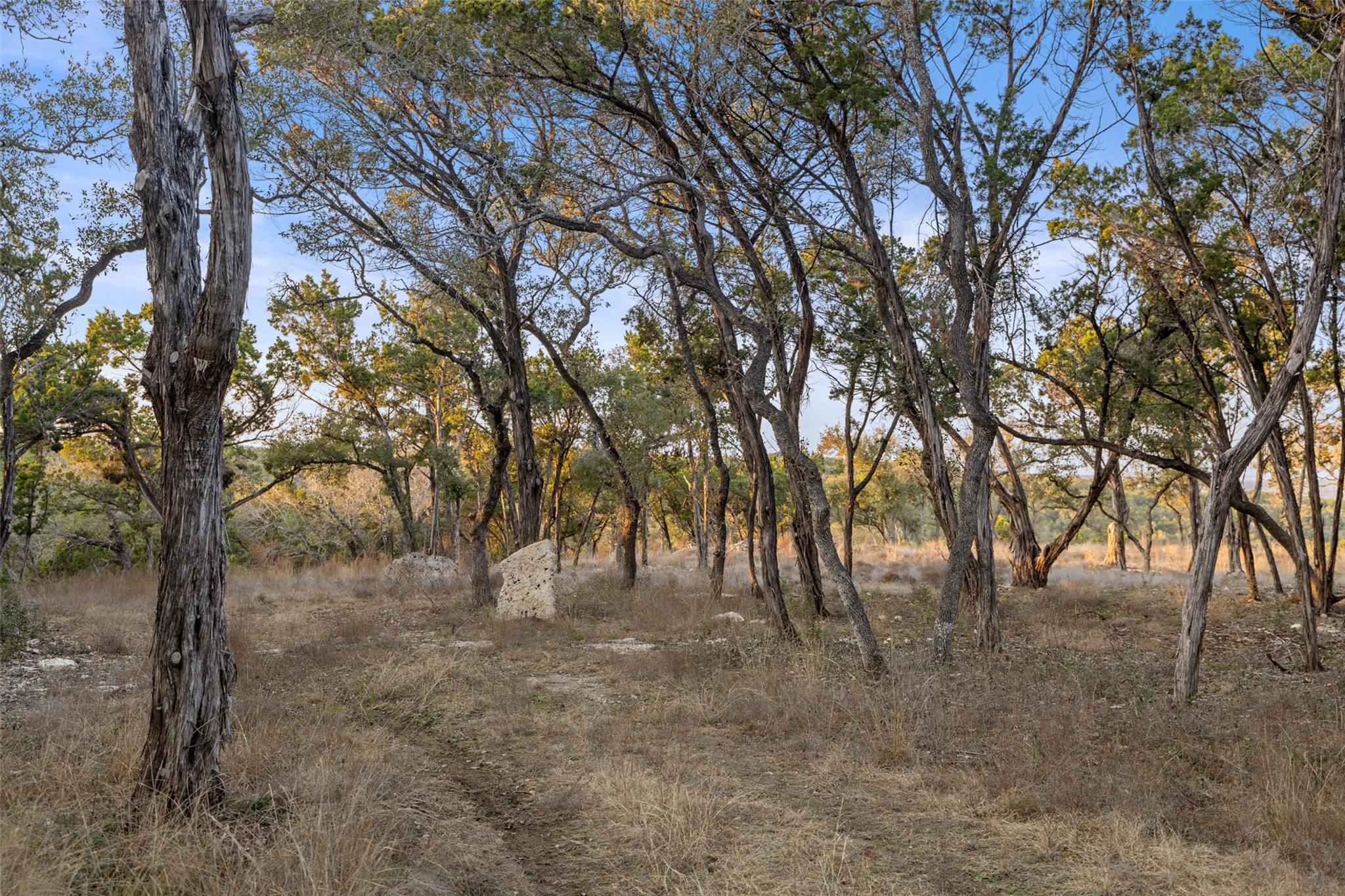 5946 Grotto Creek Ct, Fischer, TX 78623