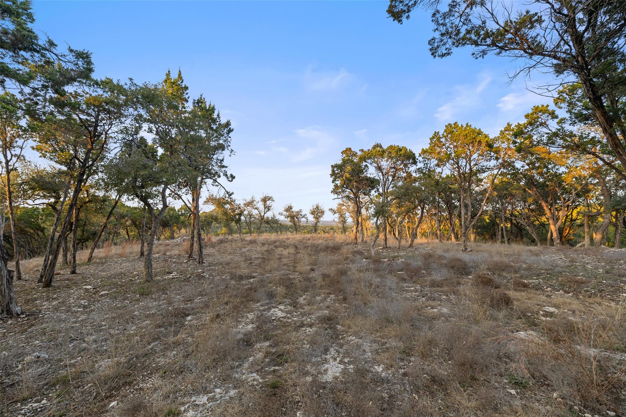 5946 Grotto Creek Ct, Fischer, TX 78623