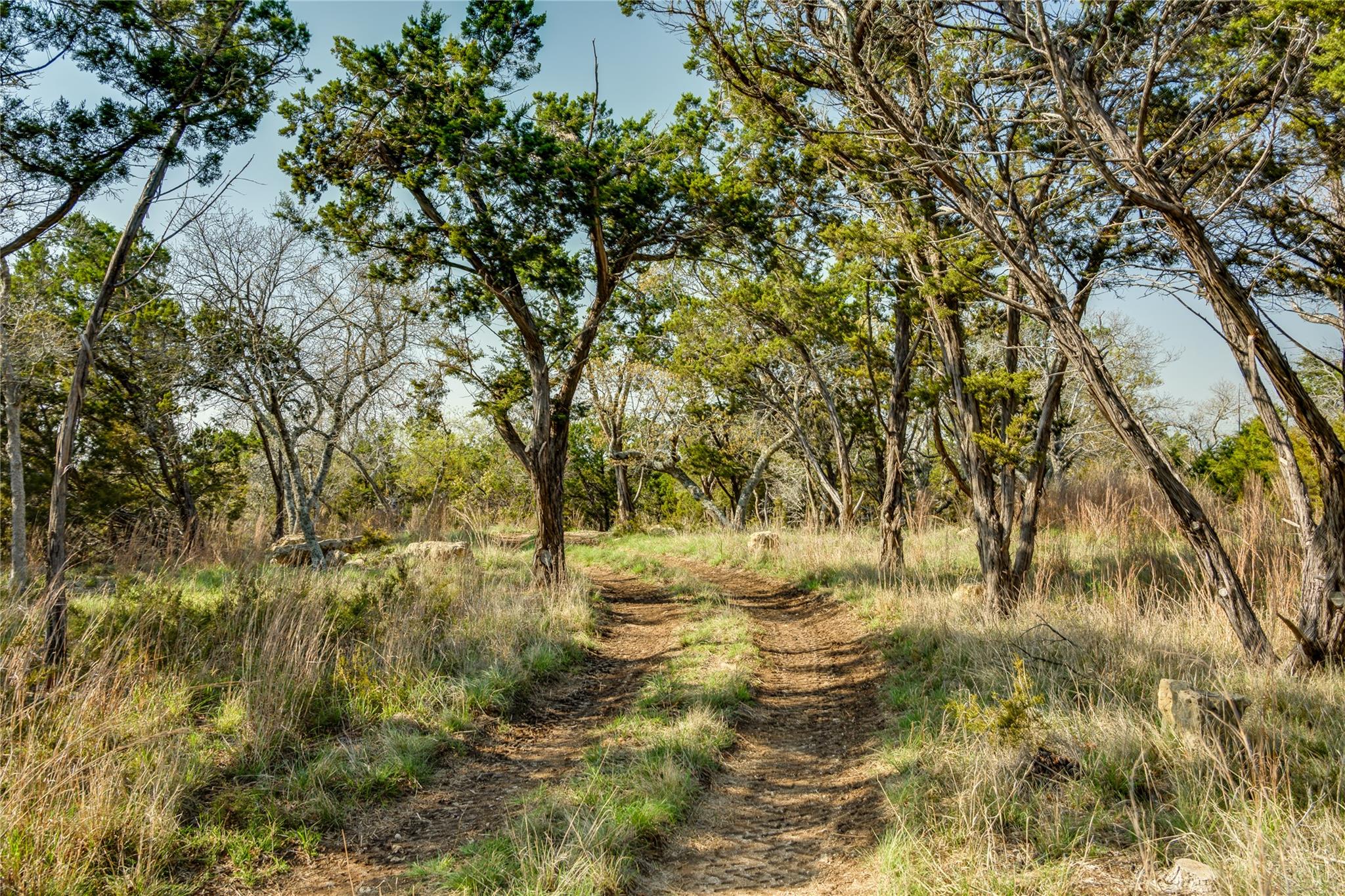 281 Kloster Ln, Blanco, TX 78606