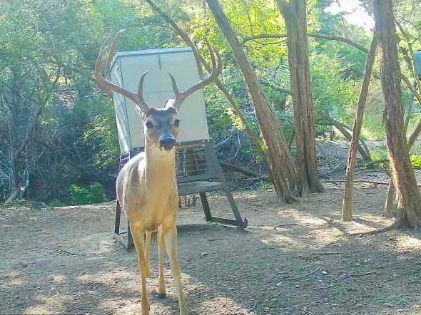 281 Kloster Ln, Blanco, TX 78606