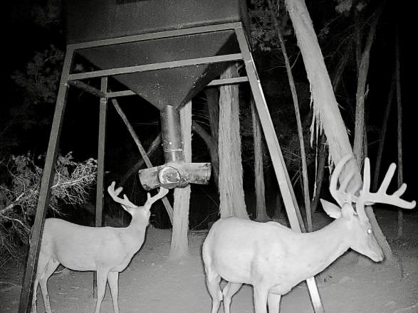 281 Kloster Ln, Blanco, TX 78606