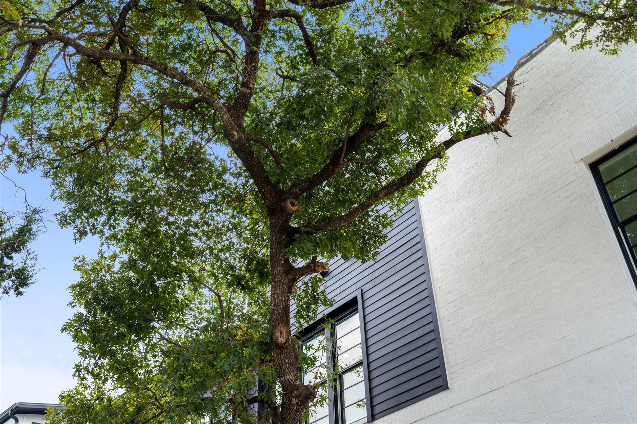 1719 Spyglass Dr # 1, Austin, TX 78746