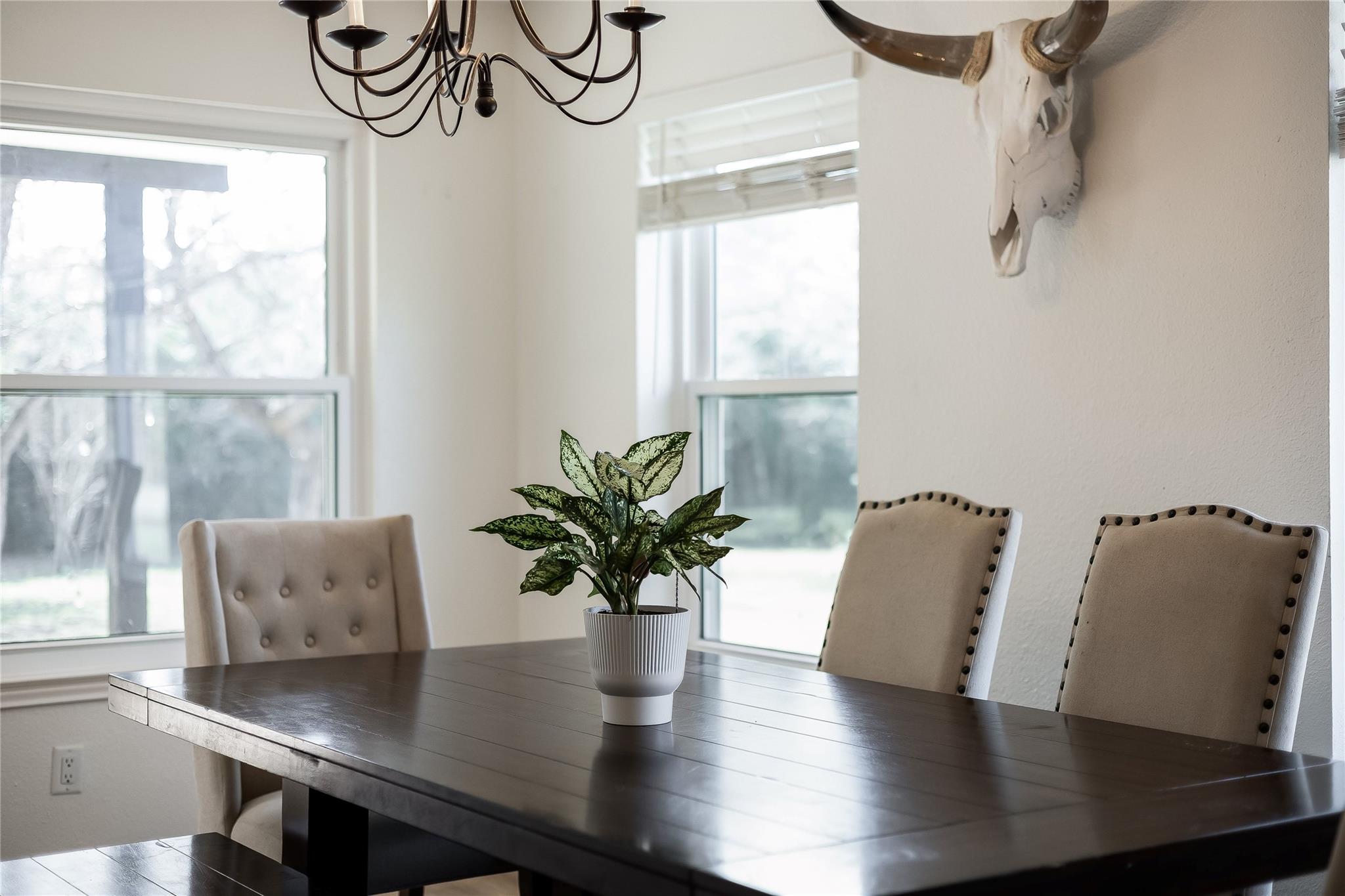 137 W Oak Dr, Cedar Creek, TX 78612