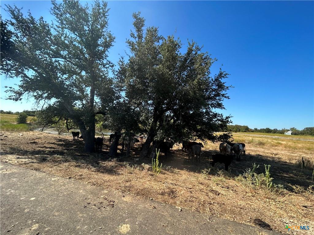 TBD Waggener Ranch Rd, Copperas Cove, TX 76522