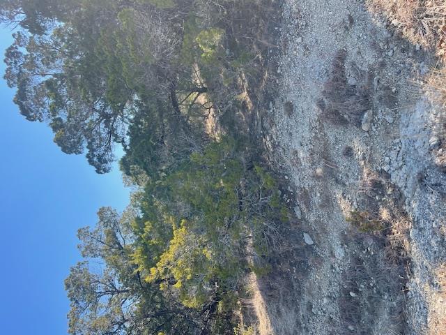 6405 S Shady Ln, Lago Vista, TX 78645