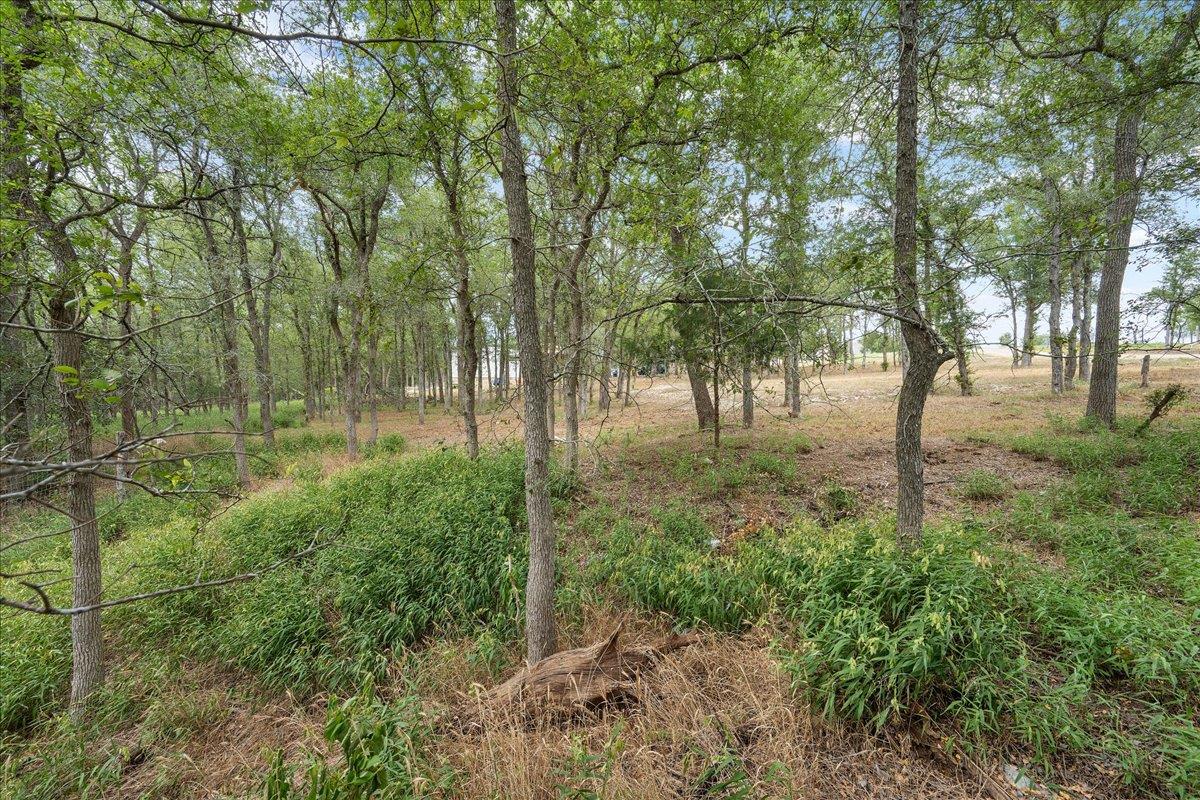 143 Chandler Cv, Cedar Creek, TX 78612