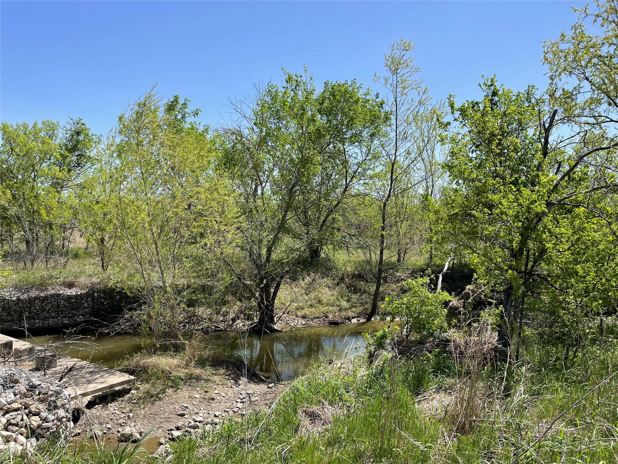 11319 Doyle Overton Rd, Del Valle, TX 78617