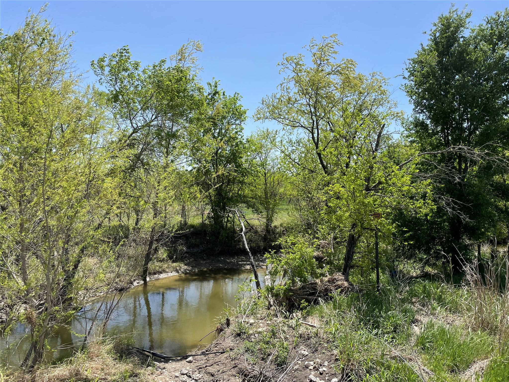 11319 Doyle Overton Rd, Del Valle, TX 78617