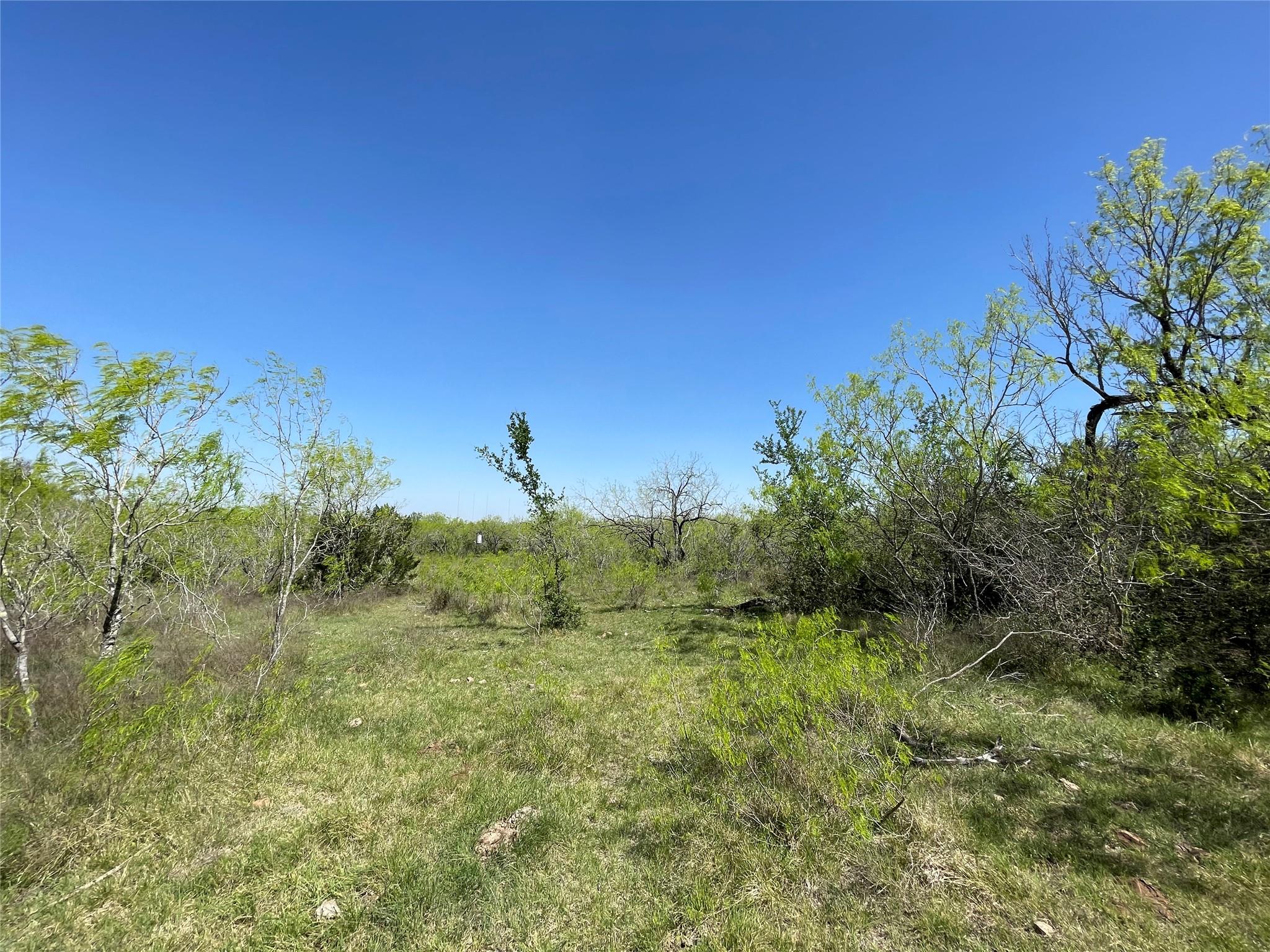 11319 Doyle Overton Rd, Del Valle, TX 78617