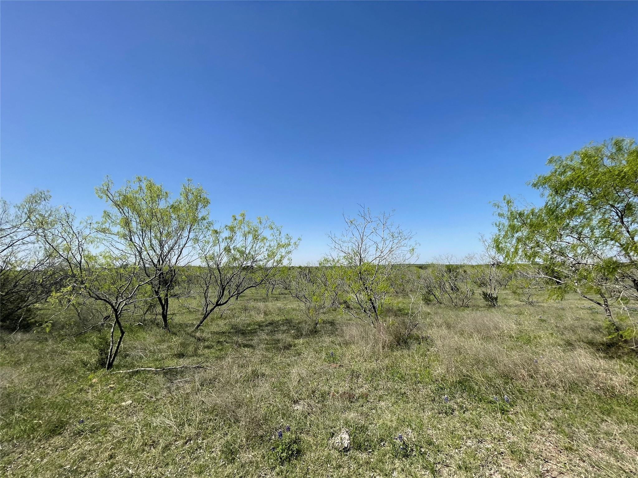11319 Doyle Overton Rd, Del Valle, TX 78617